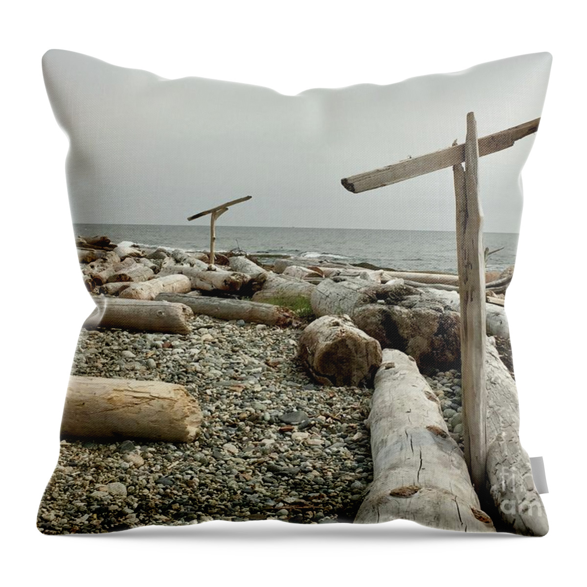 Beach Throw Pillow featuring the photograph Go North Young Man by Bill Thomson