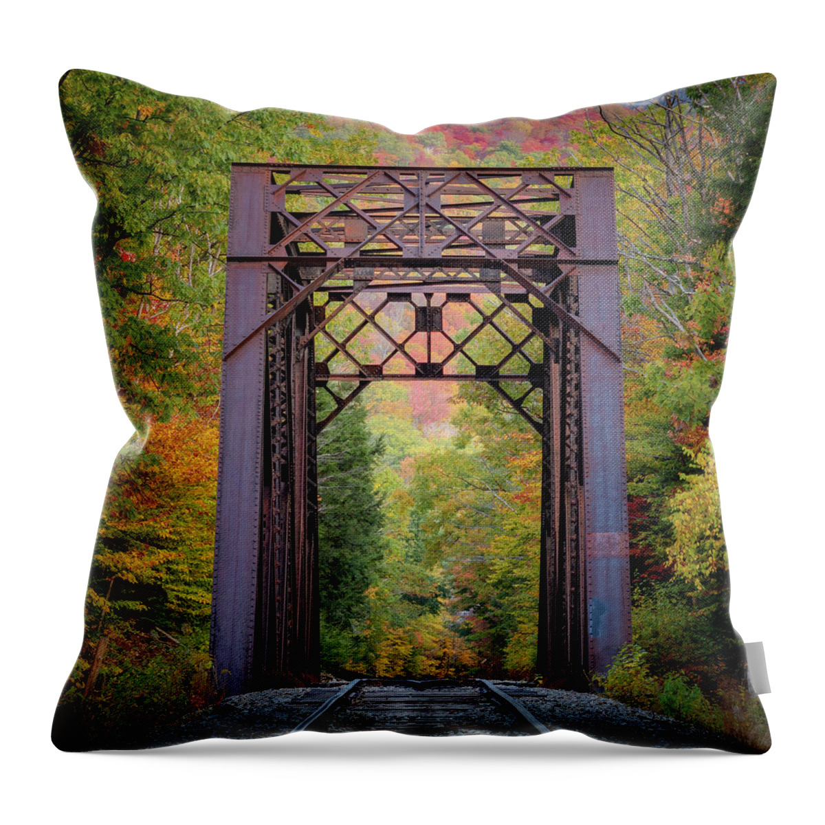 Train Tracks Throw Pillow featuring the photograph Goast Tracks by William Bretton