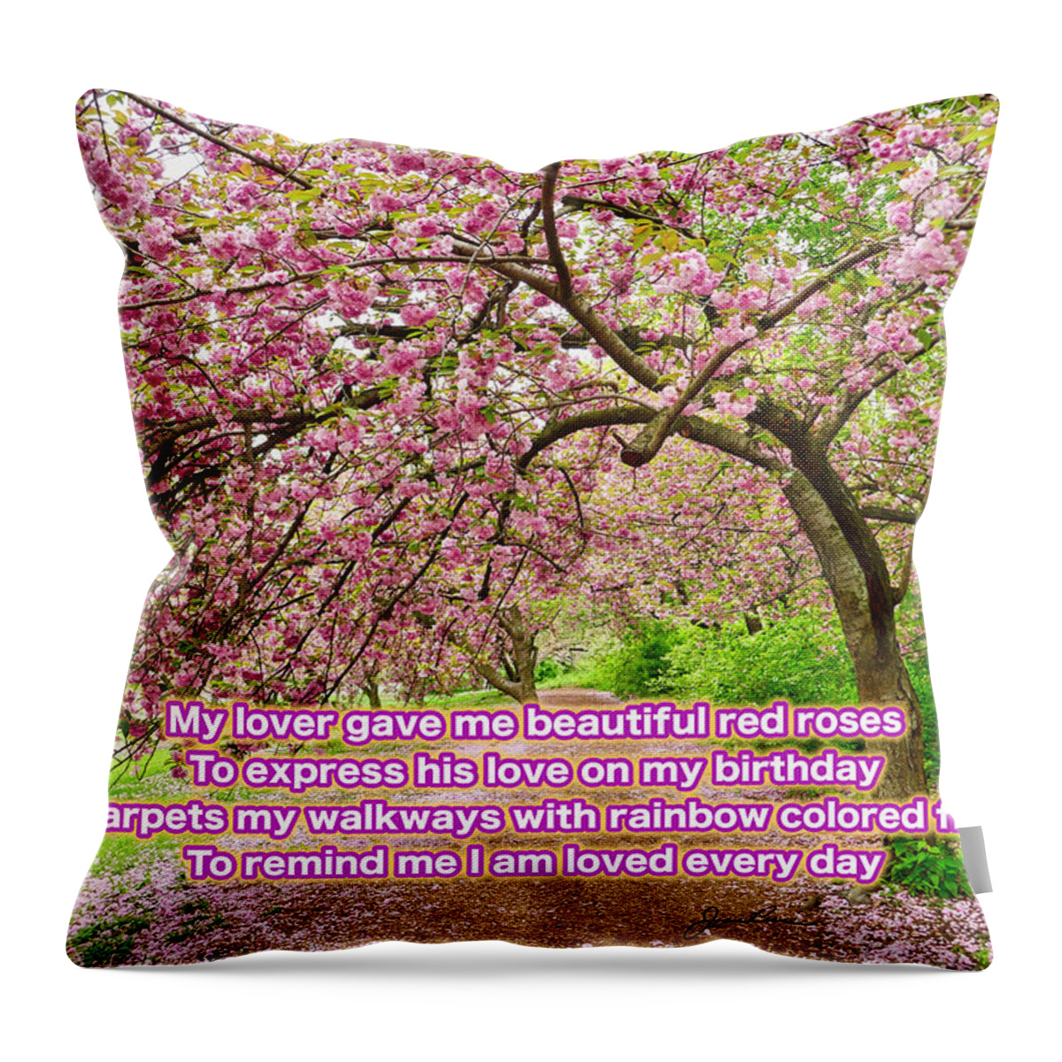 Color Photography Cherry Blossoms Trees Throw Pillow featuring the photograph God's Love by Joan Reese