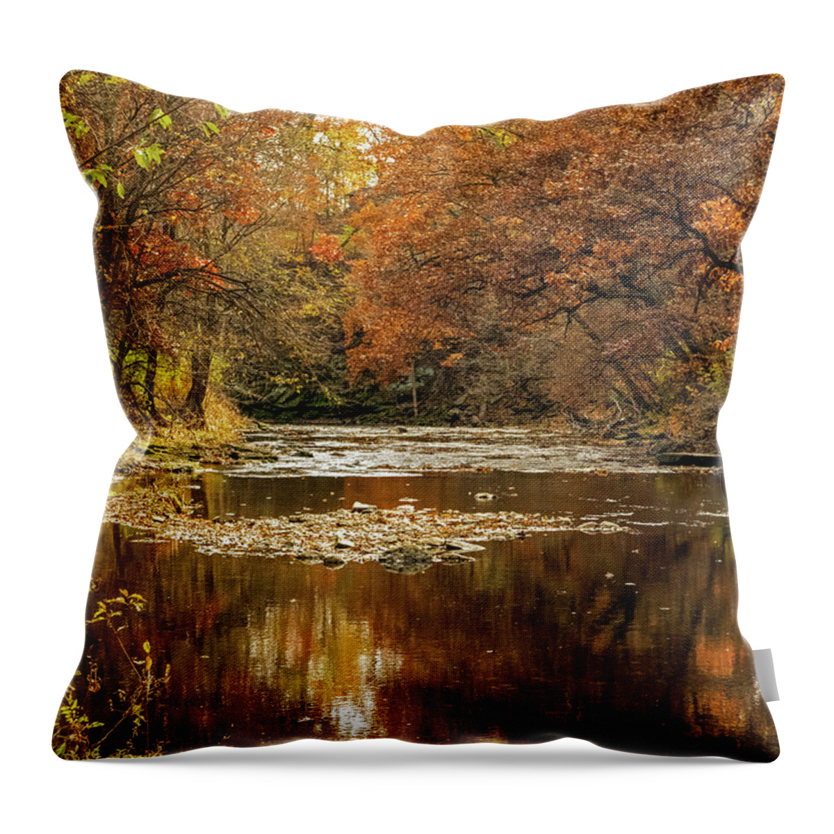 Golden Colors Throw Pillow featuring the photograph Golde Colors of Fall by Sandra J's