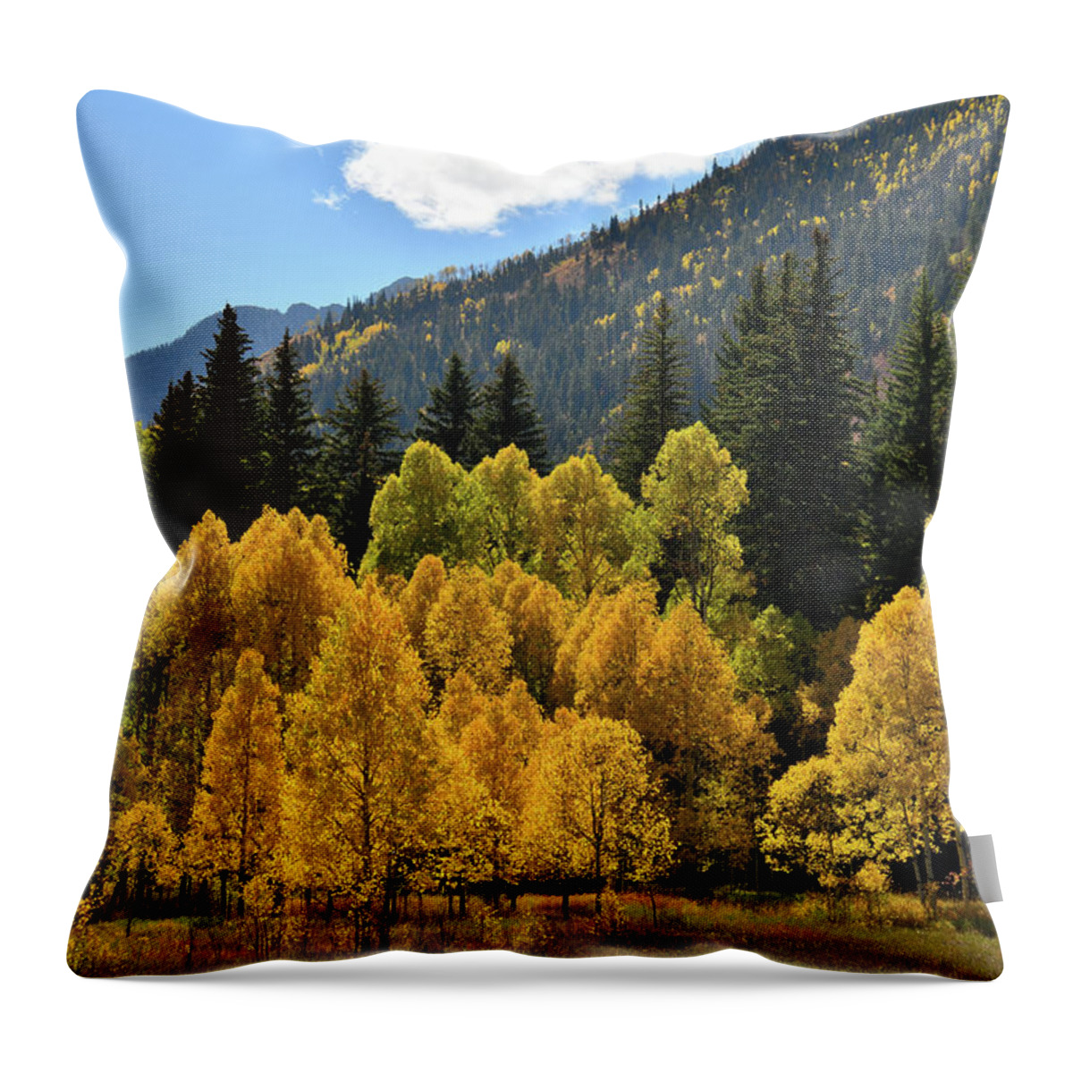 Colorado Throw Pillow featuring the photograph Golden Aspens on the Road to Marble Colorado by Ray Mathis