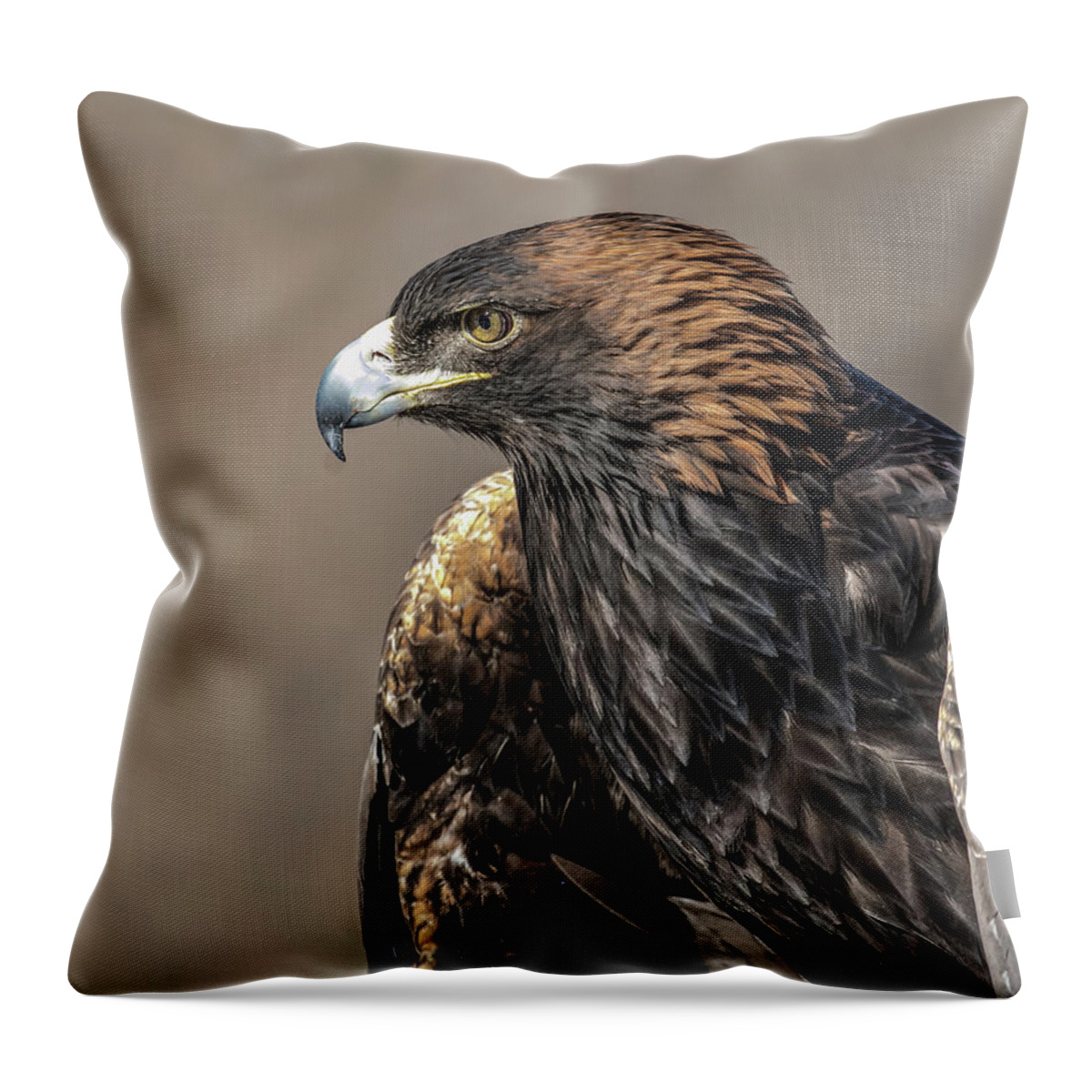 Birds Throw Pillow featuring the photograph Golden Eagle Profile by Dawn Key