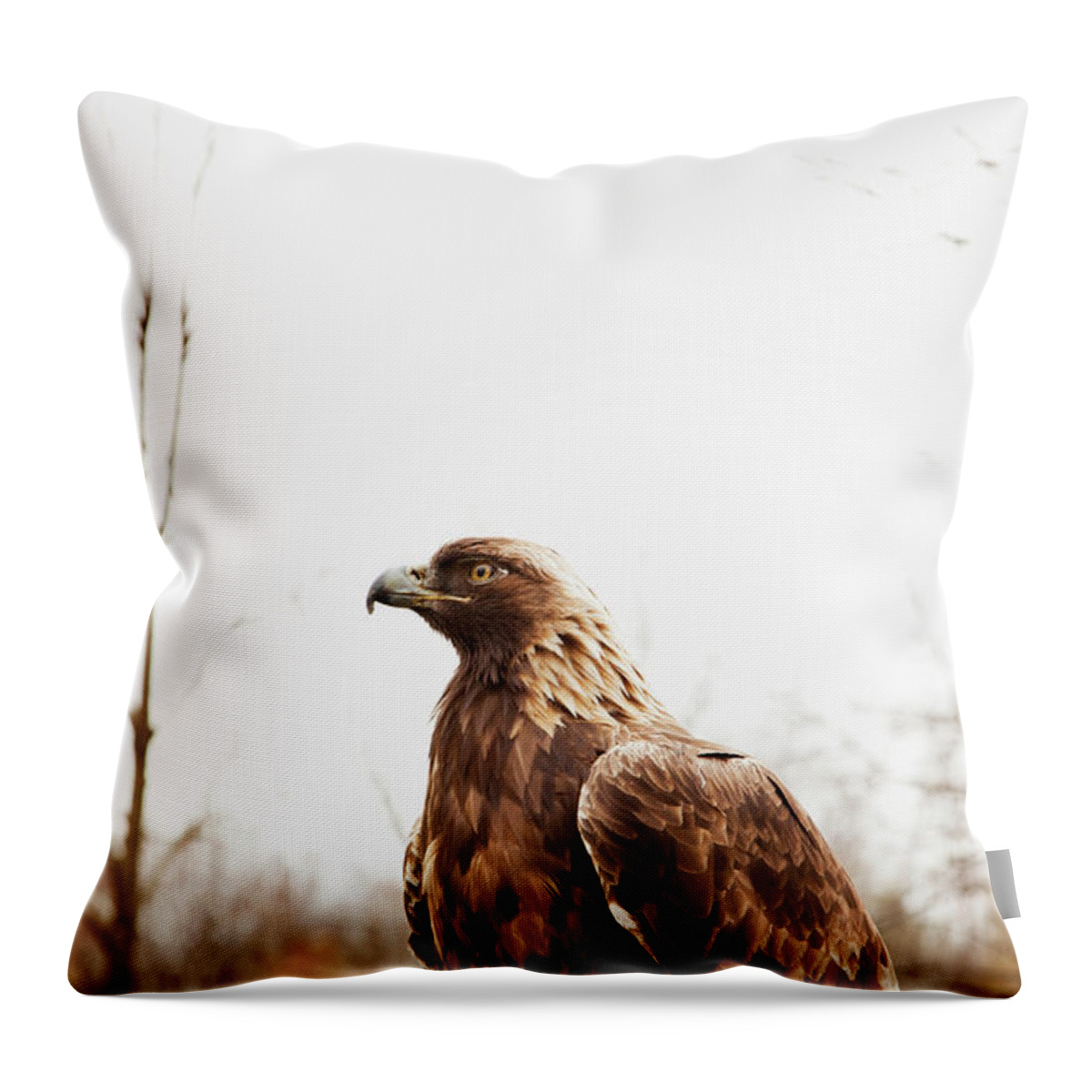 Alertness Throw Pillow featuring the photograph Golden Eagle by Ron Levine