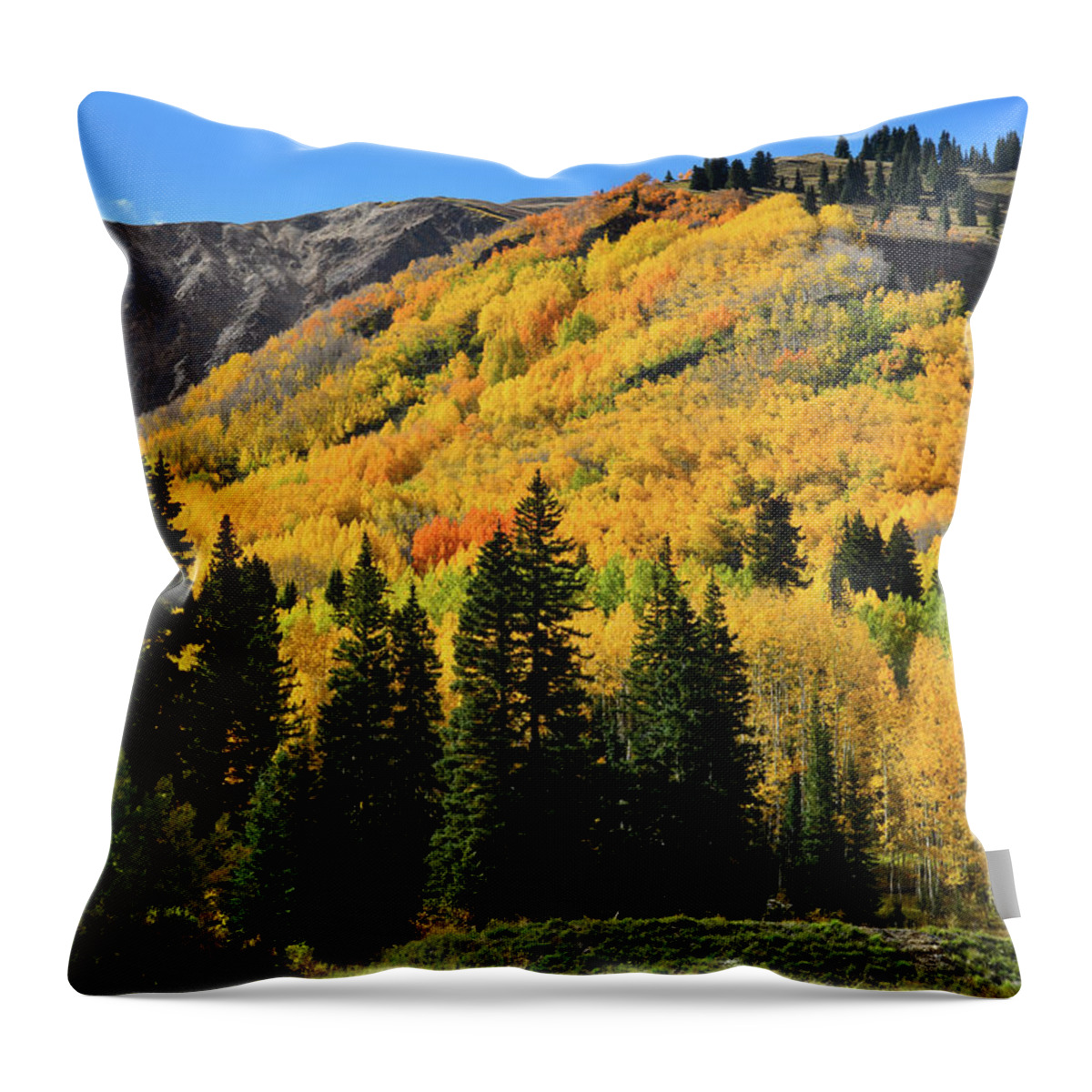 Colorado Throw Pillow featuring the photograph Golden Hillsides Along Million Dollar Highway by Ray Mathis