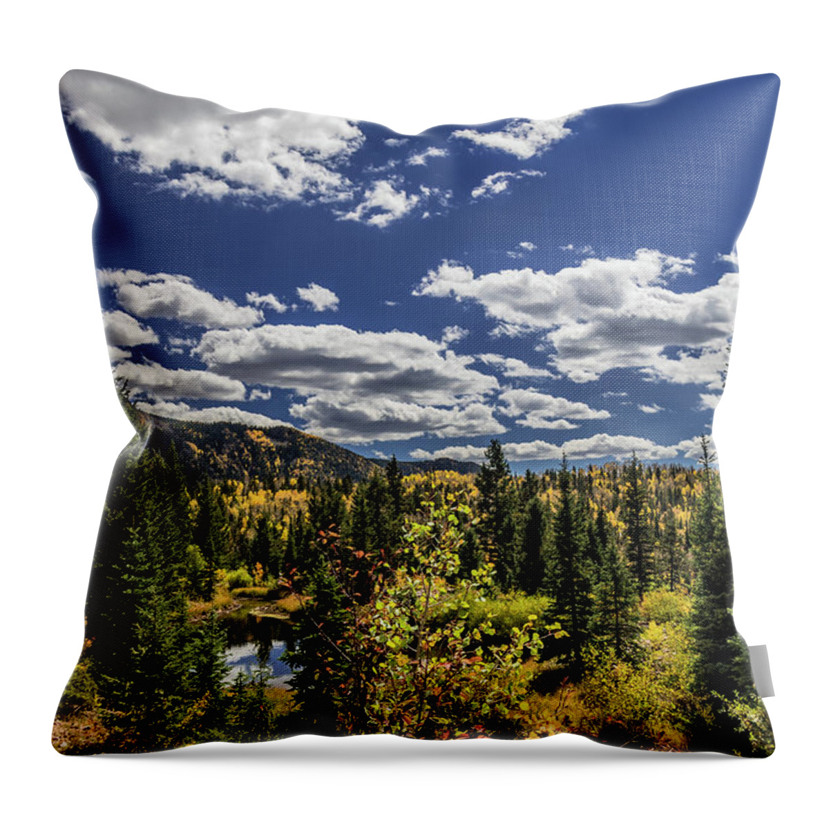 2018 Throw Pillow featuring the photograph Golden Leaves by Dennis Dempsie
