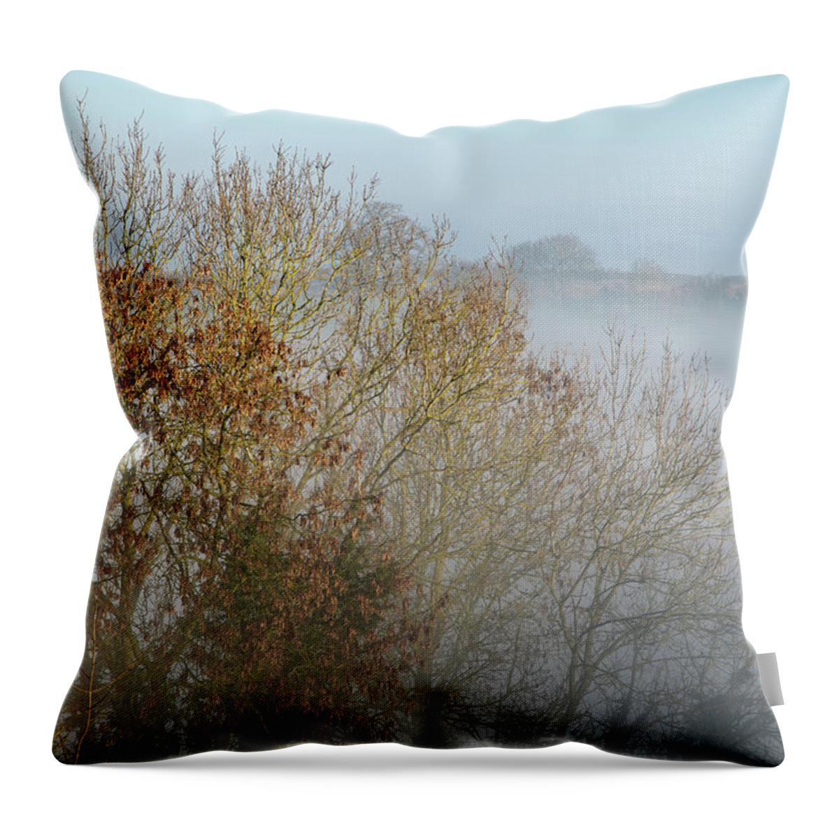 Winter Throw Pillow featuring the photograph Golden leaves by Mark Hunter