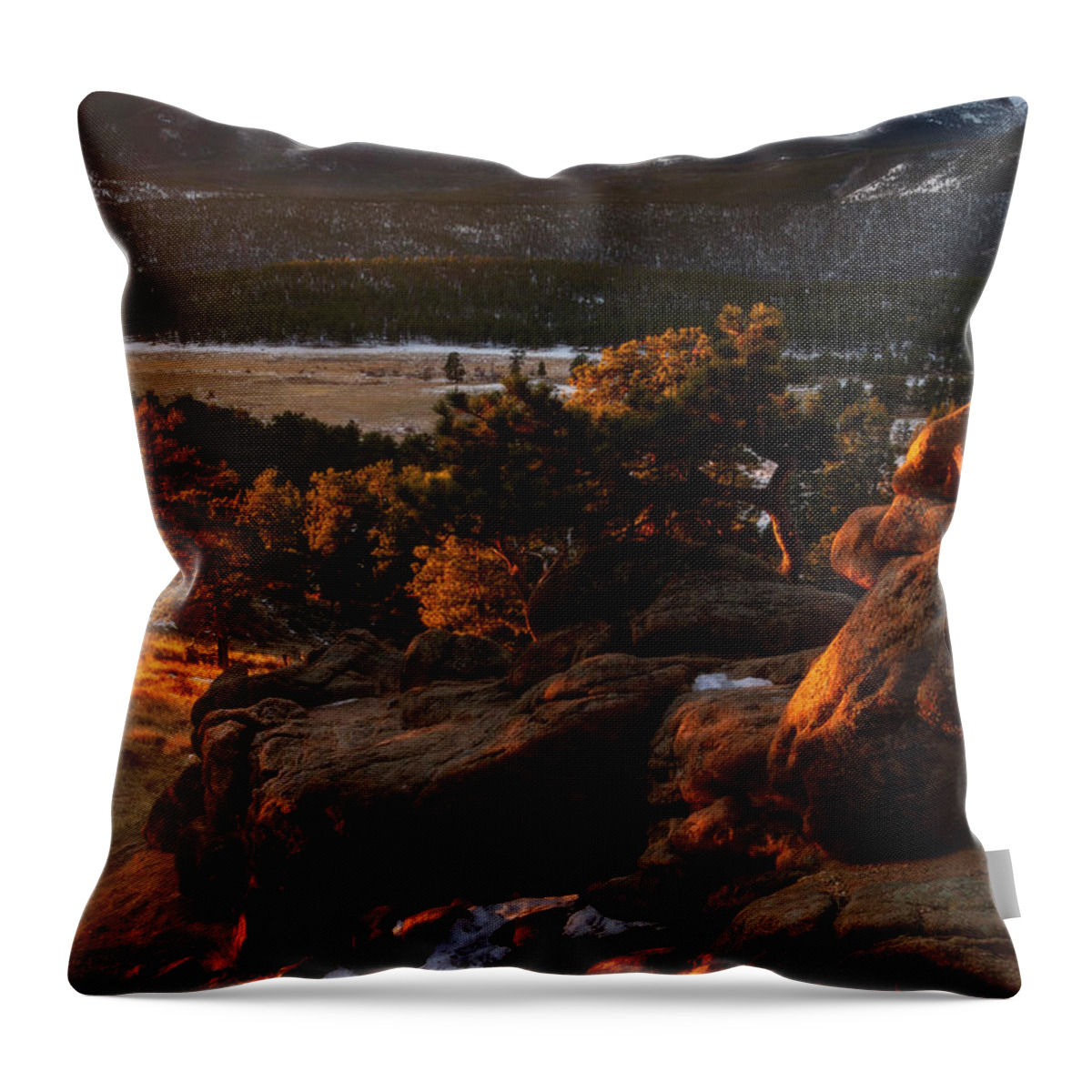 Rocky Mountain National Park Throw Pillow featuring the photograph Golden Light in Rocky Mountain National Park by Ronda Kimbrow
