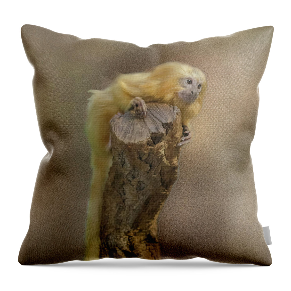 Adorable Throw Pillow featuring the photograph Golden Lion Tamarin by Michelle Meenawong