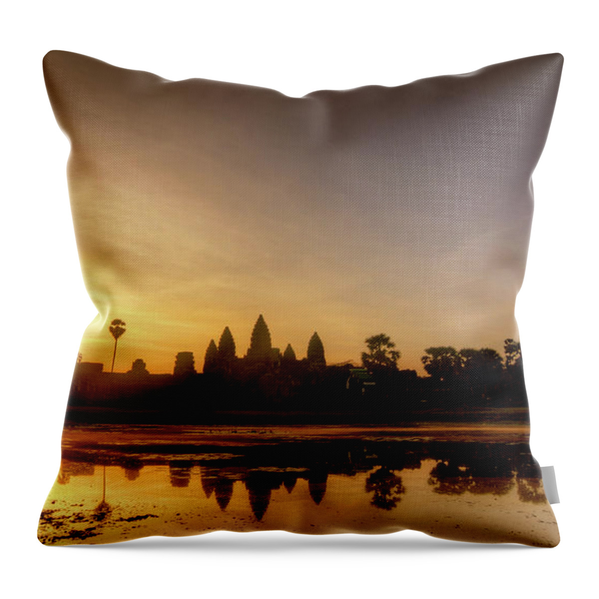 Standing Water Throw Pillow featuring the photograph Golden Reflections by Photo By Dan Goldberger
