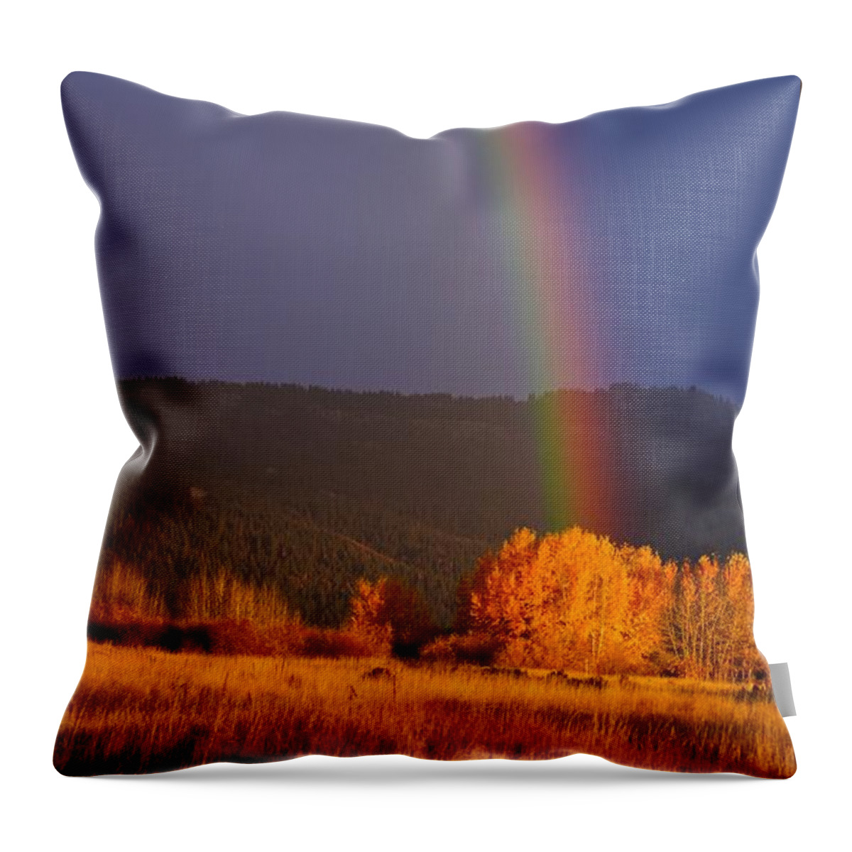 Rainbow Throw Pillow featuring the photograph Golden Tree Rainbow by Tom Gresham