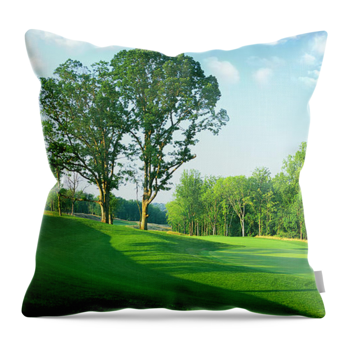 Shadow Throw Pillow featuring the photograph Golf Course Green And Fairway by Peter Gridley
