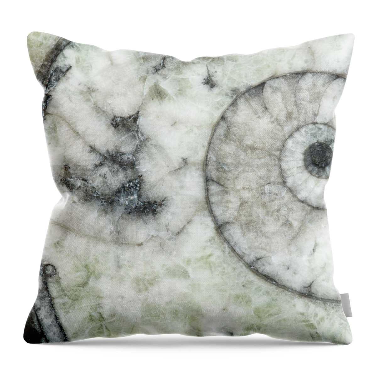 Abstract Throw Pillow featuring the photograph Goniatite Fossil, Close by Mark Windom