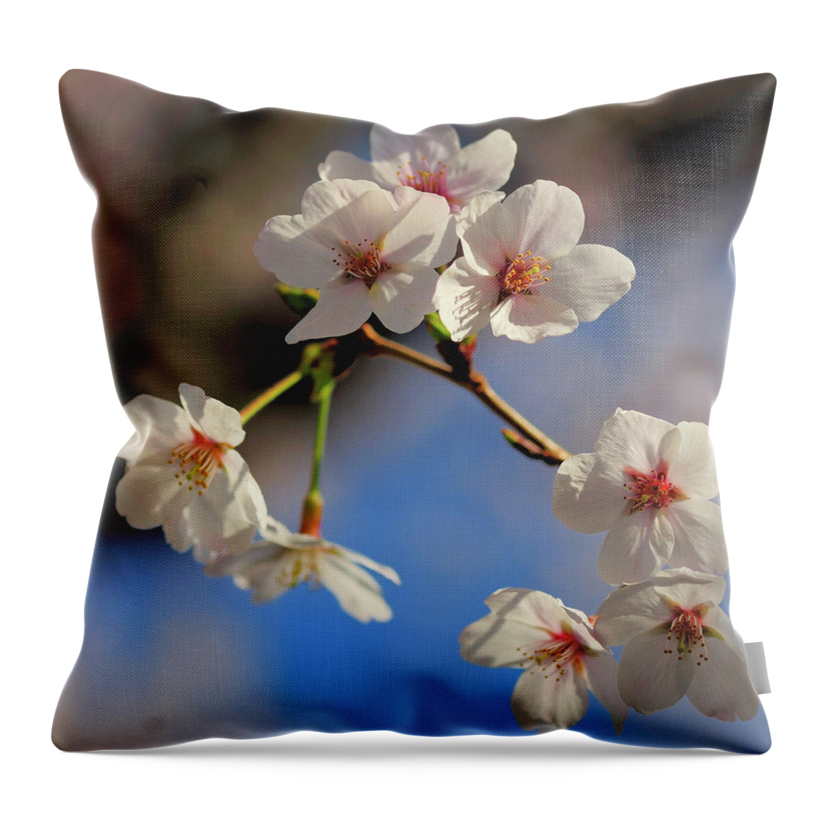 Petal Throw Pillow featuring the photograph Good Morning by I Love Photo And Apple.