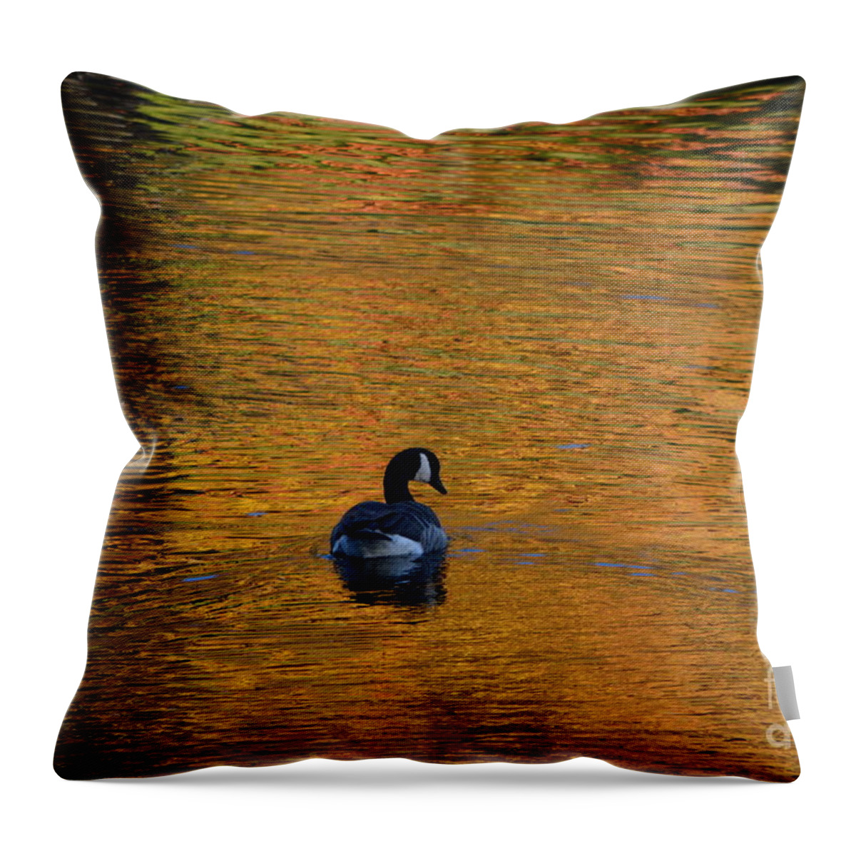 Geese Throw Pillow featuring the photograph Goose Swimming In Autumn Colors by Dani McEvoy