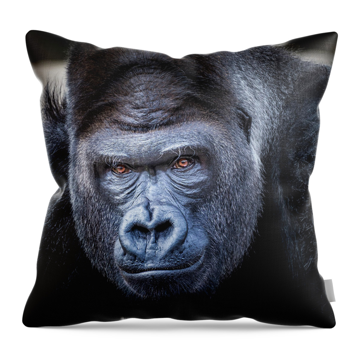 Gorillas Throw Pillow featuring the photograph Gorrilla by Robert Bellomy