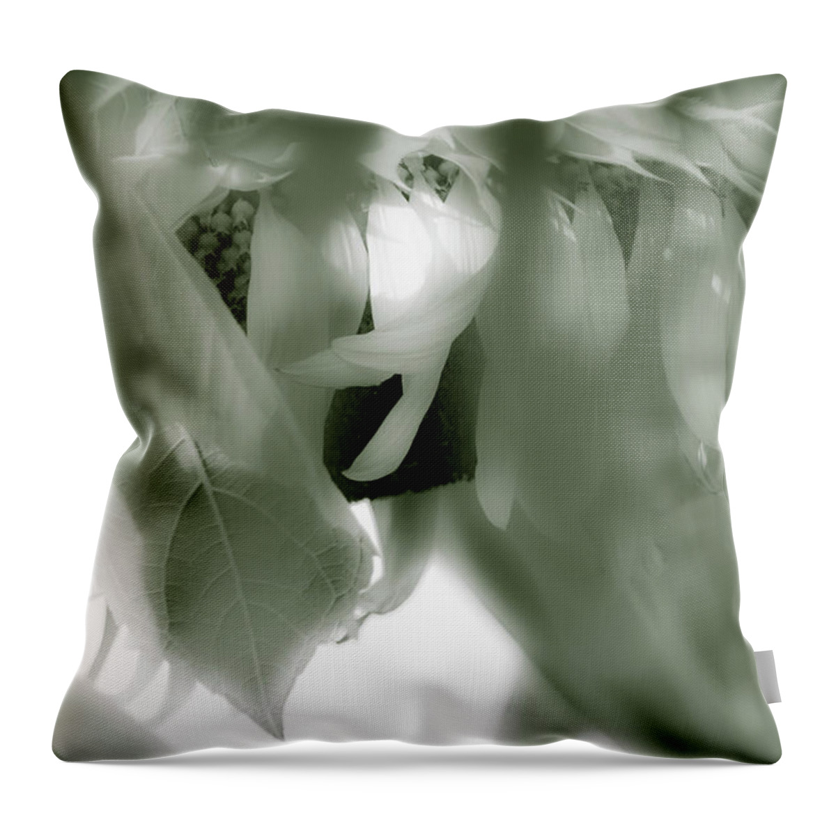 Gossamer Veil Throw Pillow featuring the photograph Gossamer Veil by Julie Weber