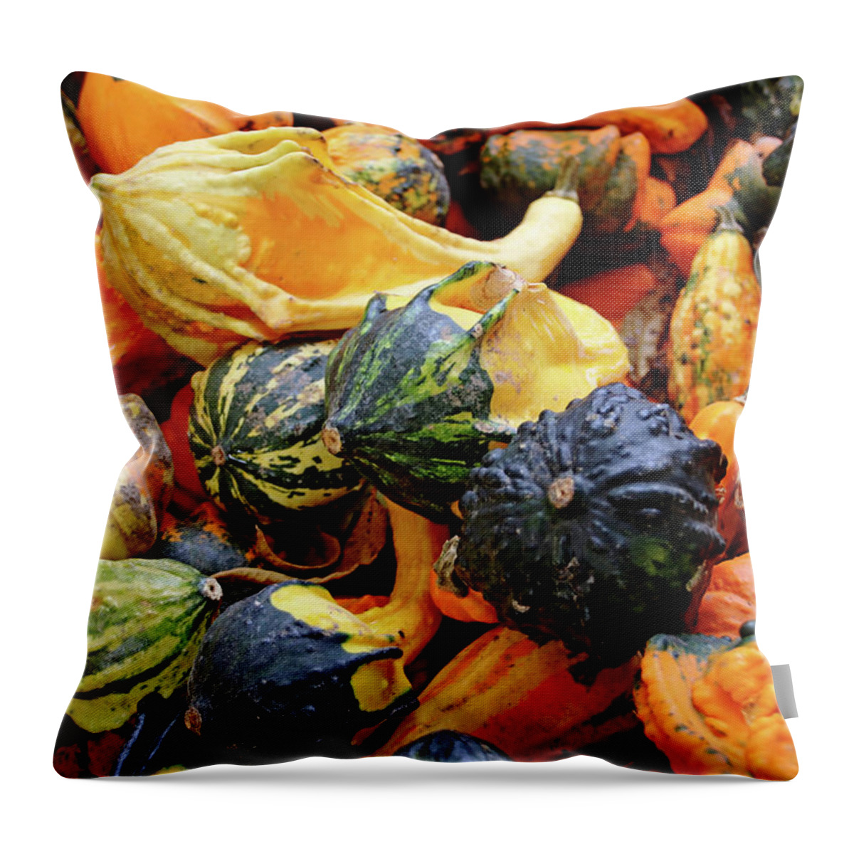 Gourds Throw Pillow featuring the photograph Gourds by Debbie Oppermann