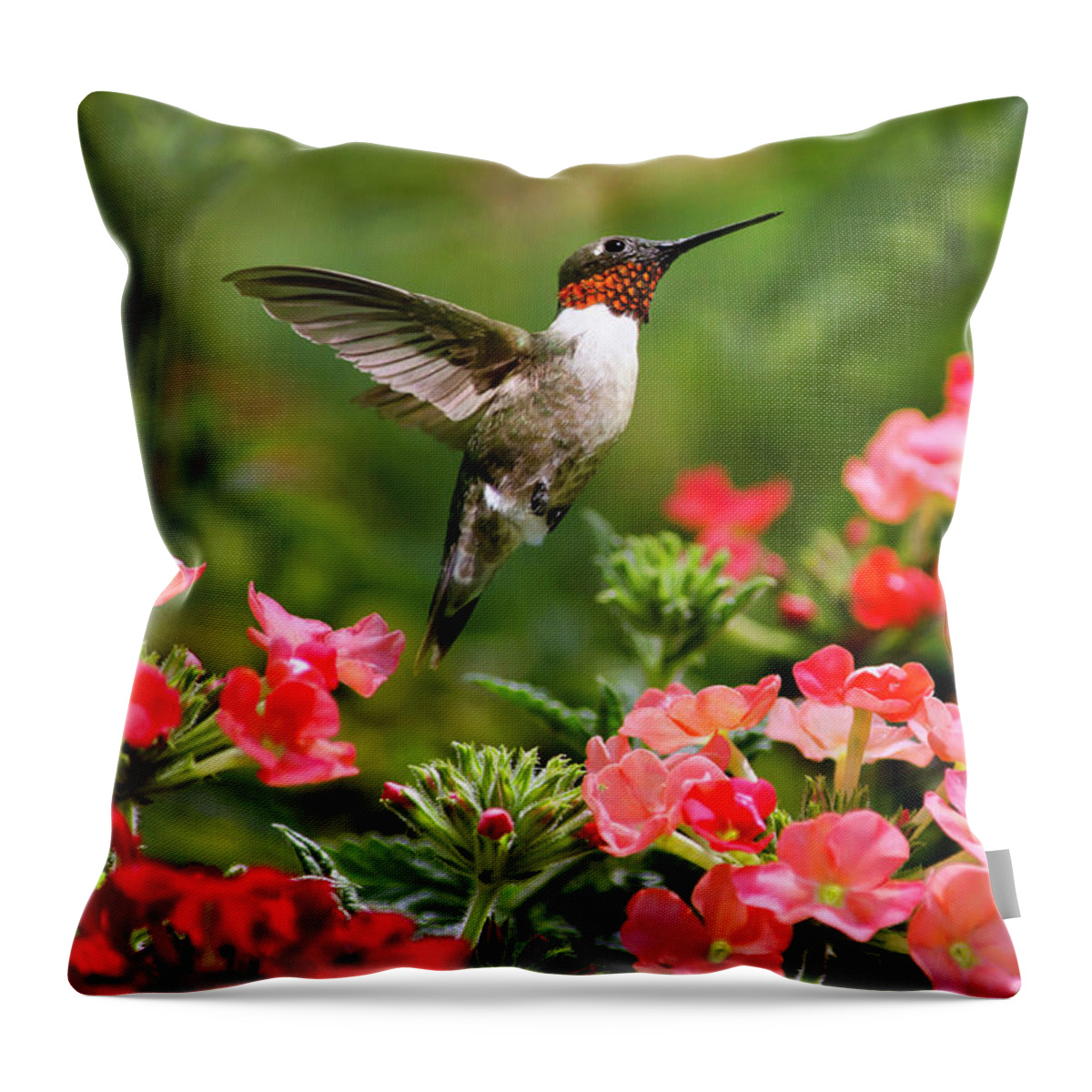 Hummingbird Throw Pillow featuring the photograph Graceful Garden Jewel by Christina Rollo