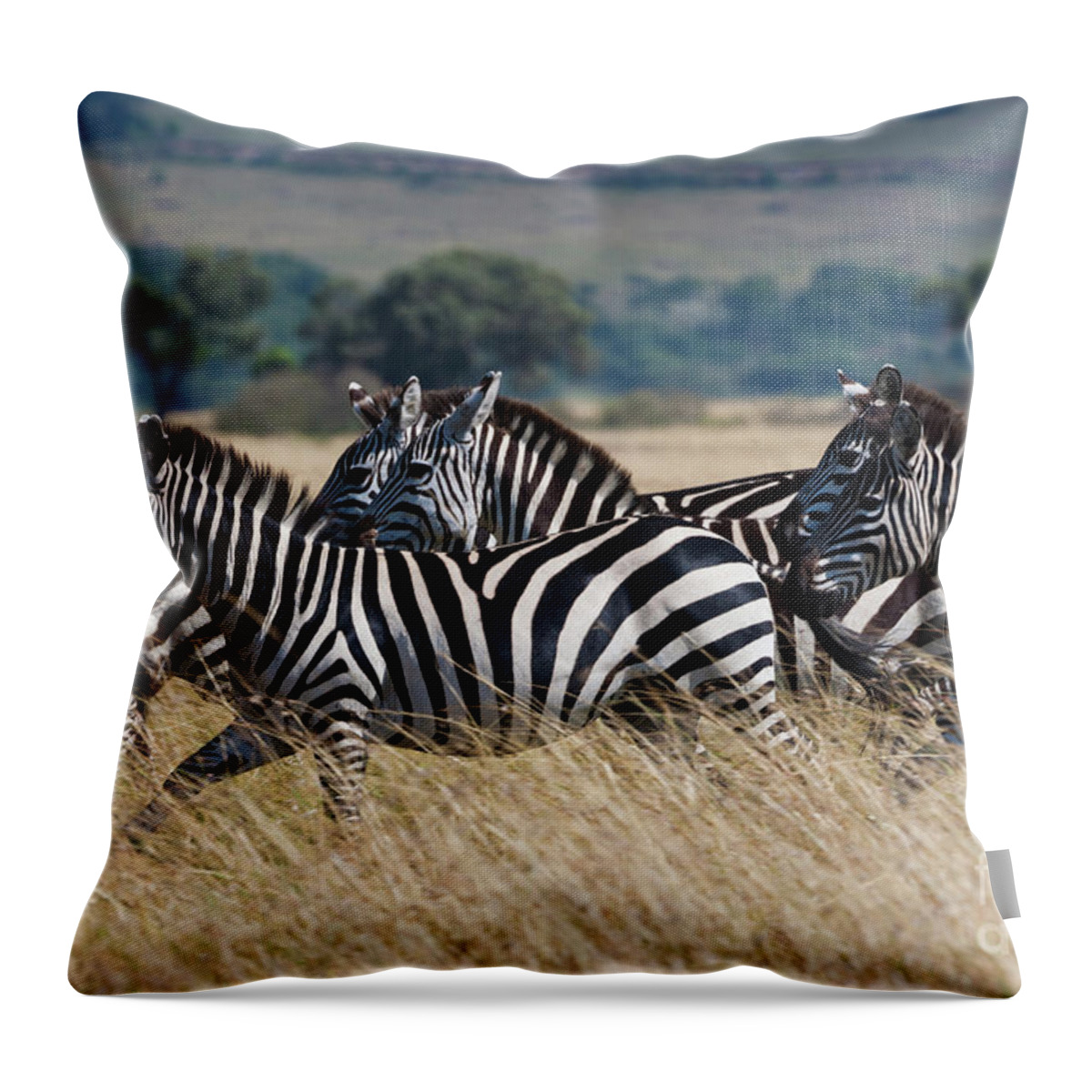 Scenics Throw Pillow featuring the photograph Grants Zebras, Kenya by Mint Images/ Art Wolfe
