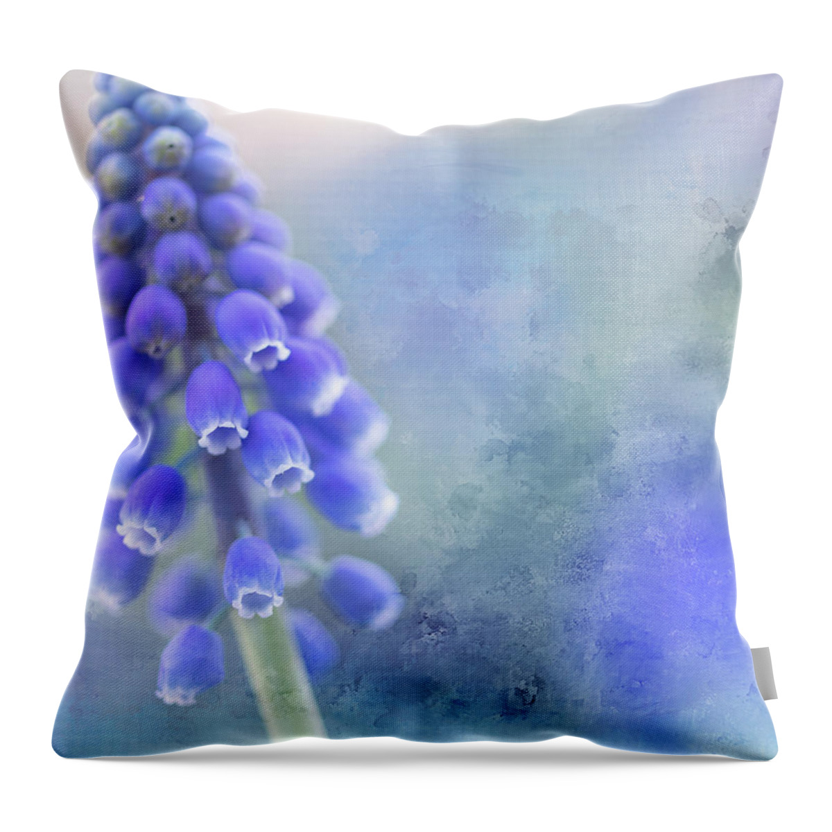 Hyacinth Throw Pillow featuring the photograph Grape Hyacinth 3 by Rebecca Cozart