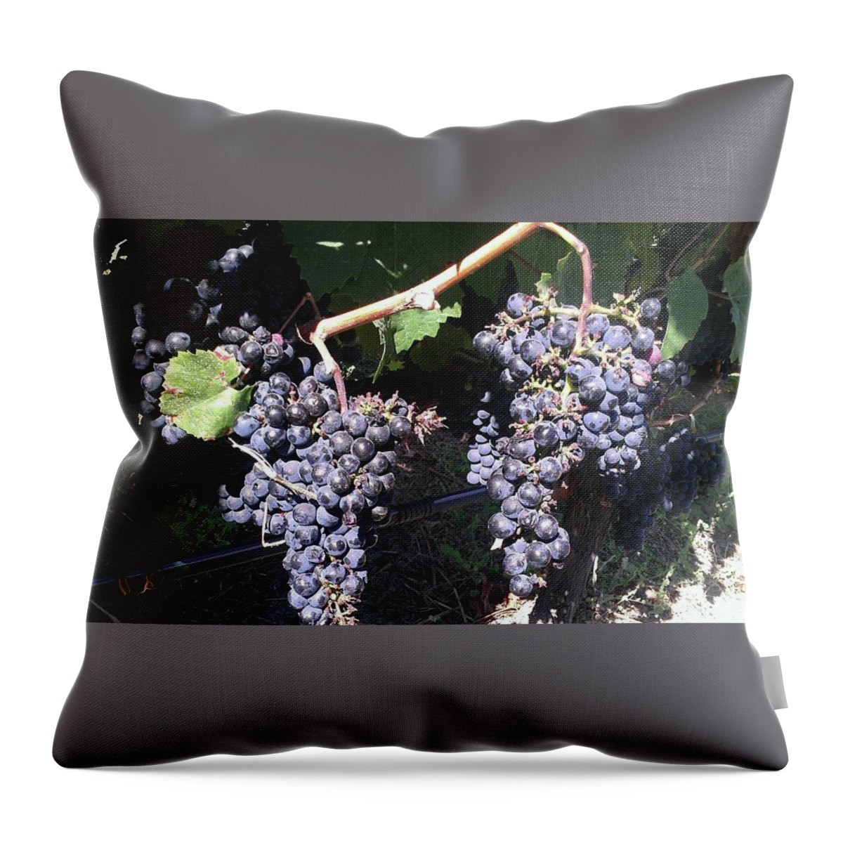 Grapes Throw Pillow featuring the photograph Grapes by Michelle Stevens