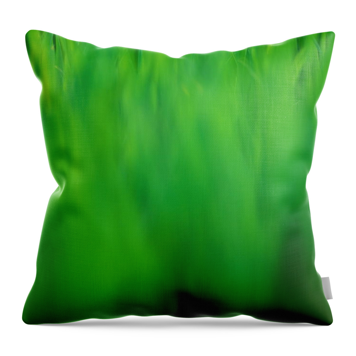 Grass Throw Pillow featuring the photograph Grass, Close-up Defocussed by Jason Hawkes