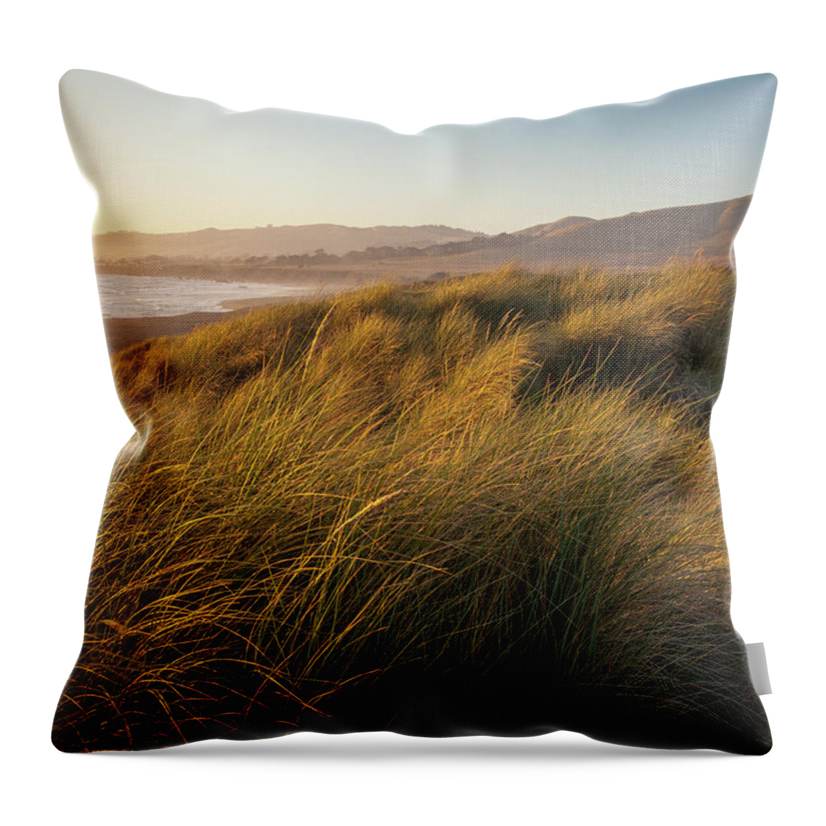 Tranquility Throw Pillow featuring the photograph Grass Covering Dunes By The Beach by Karen Desjardin