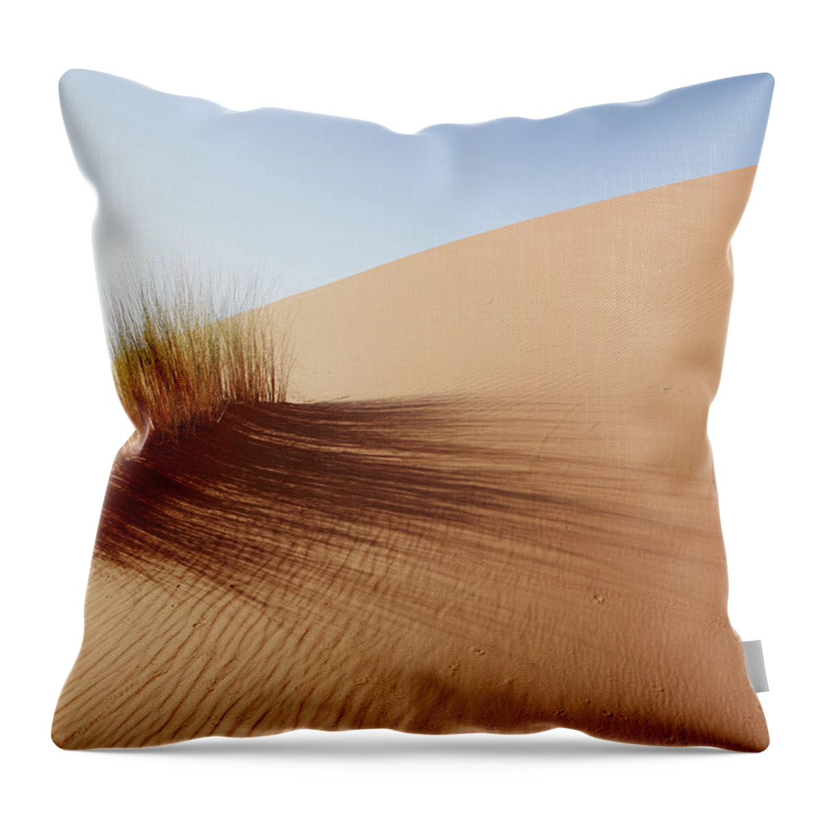 Grass Family Throw Pillow featuring the photograph Grass In Sahara Desert, Merzouga by Tunart
