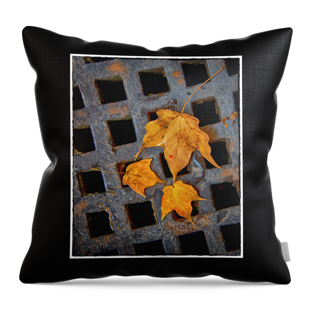 Leaves Throw Pillow featuring the photograph Grateful Leaves by Harriet Feagin
