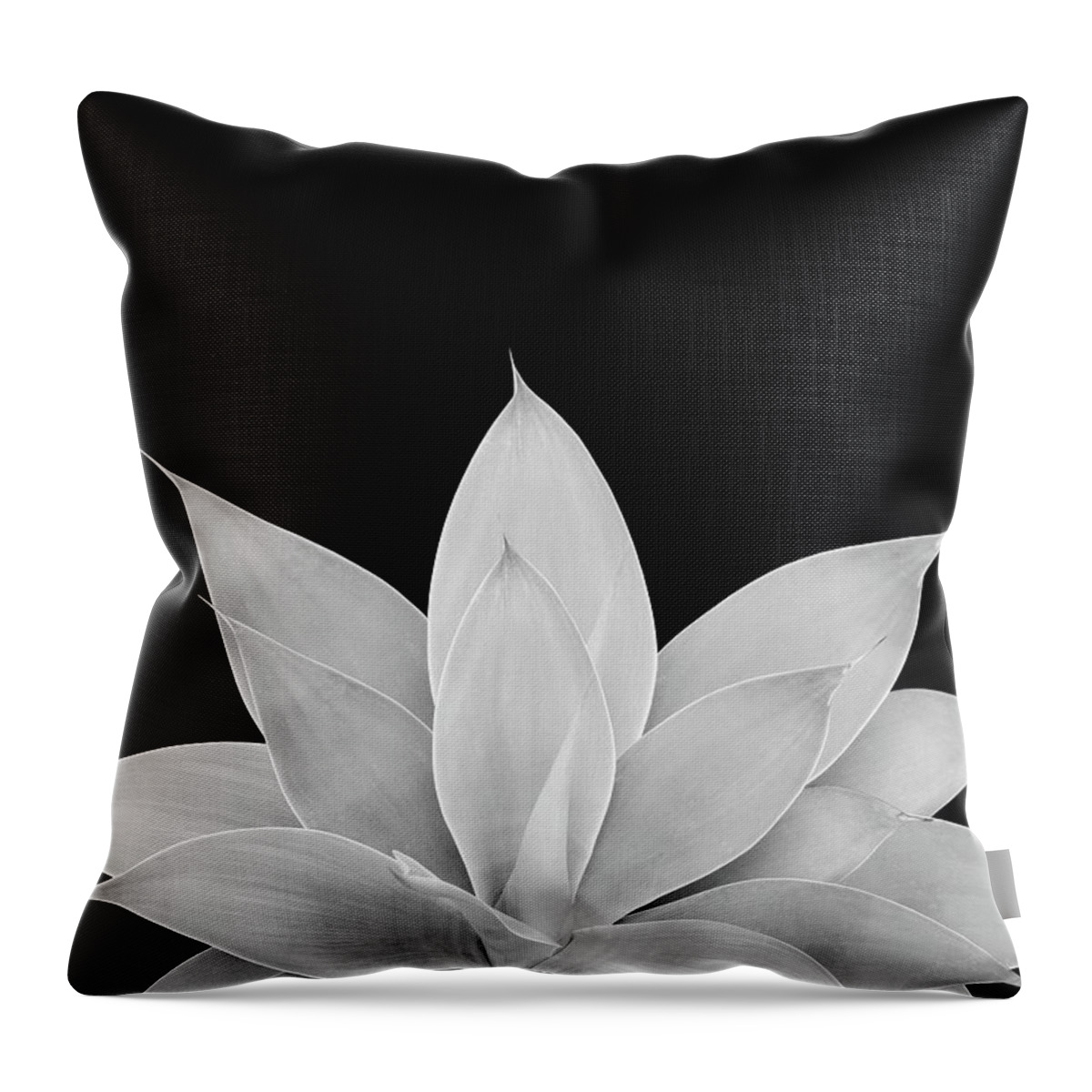Photography Throw Pillow featuring the mixed media Gray Agave on Black #1 #tropical #decor #art by Anitas and Bellas Art