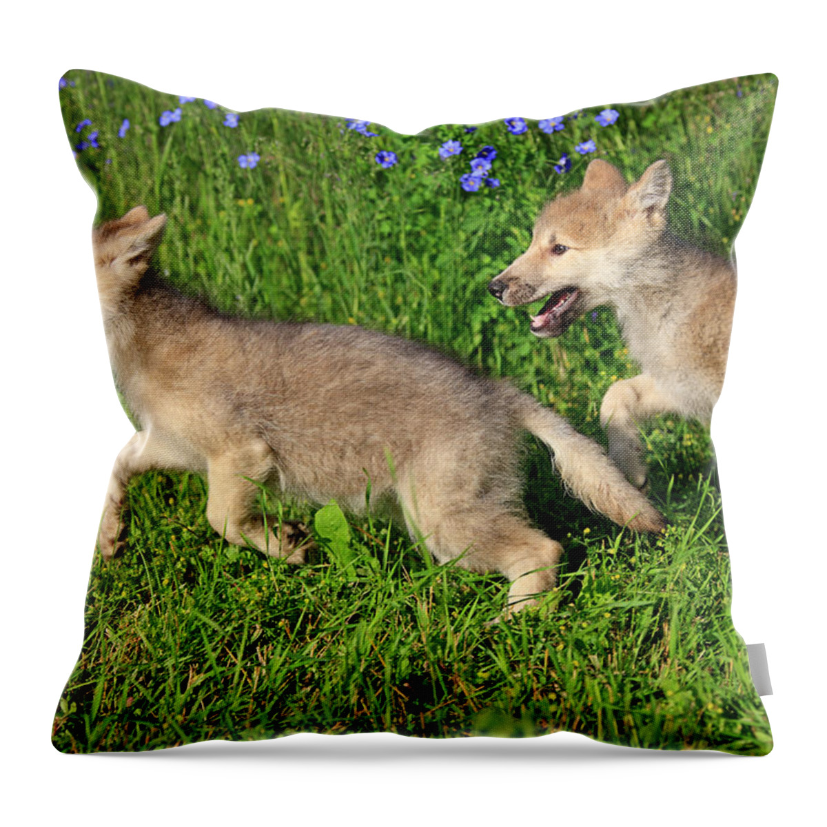 Grass Throw Pillow featuring the photograph Gray Wolfs by Tier Und Naturfotografie J Und C Sohns