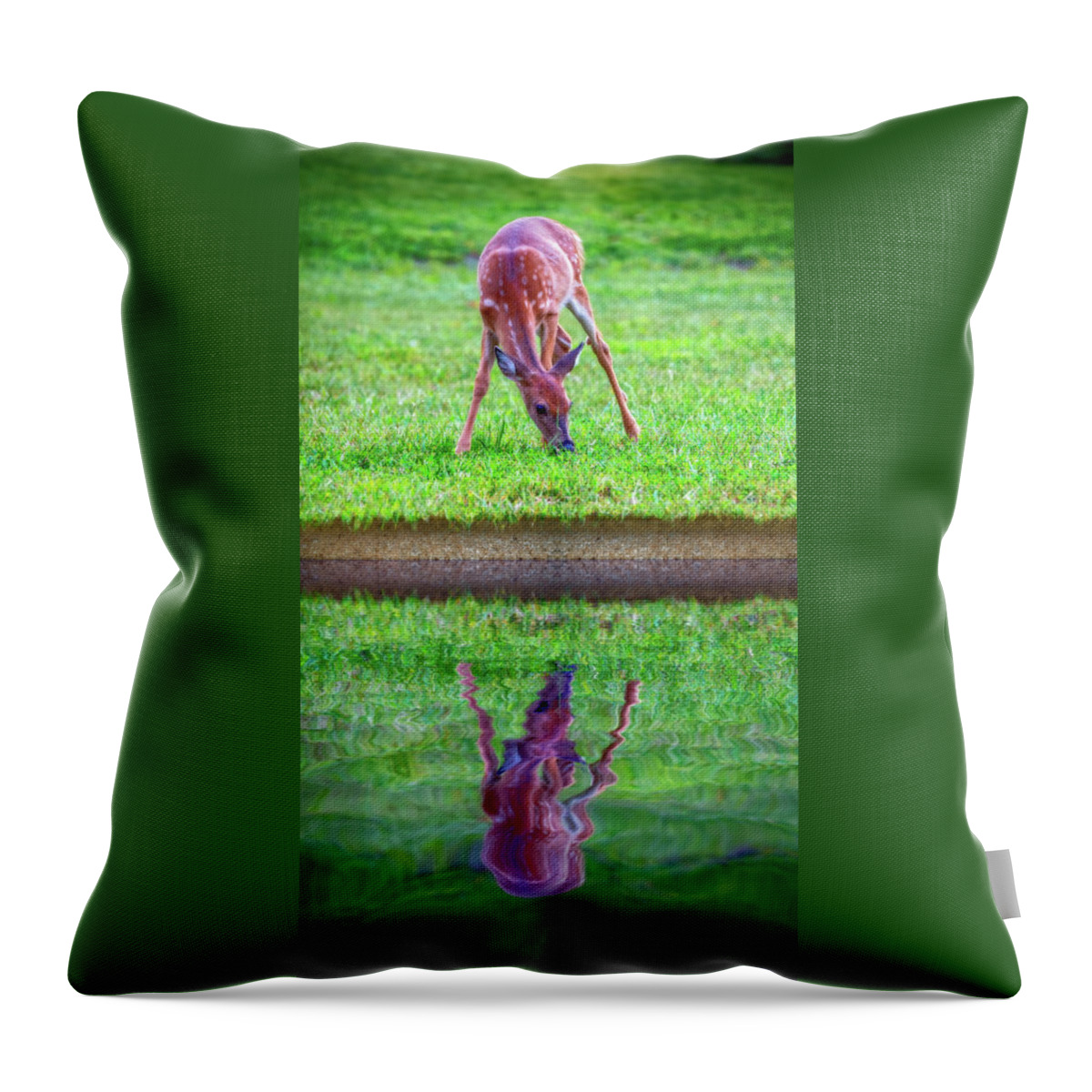 2d Throw Pillow featuring the photograph Grazing Reflection by Brian Wallace