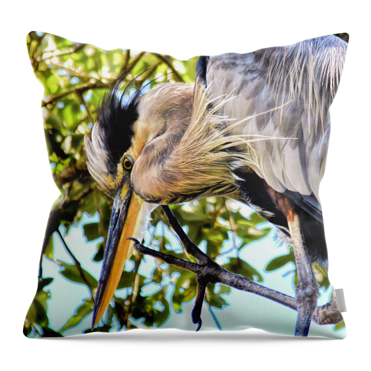 Great Blue Heron Throw Pillow featuring the photograph Great Blue Heron Close Up by Kerri Farley