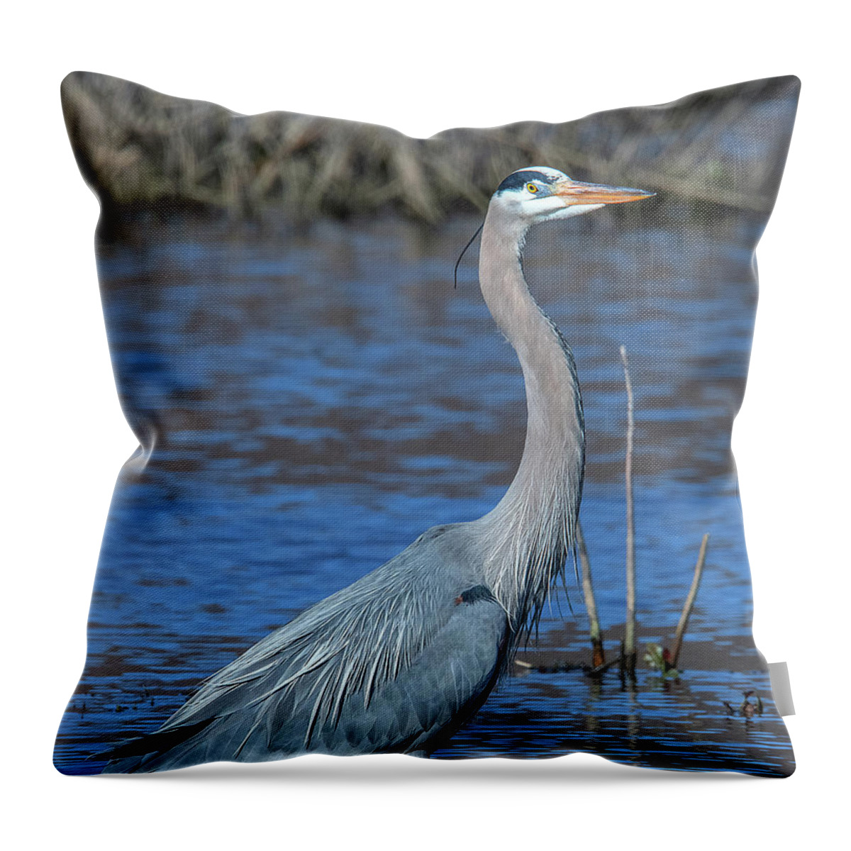 Nature Throw Pillow featuring the photograph Great Blue Heron DMSB0150 by Gerry Gantt