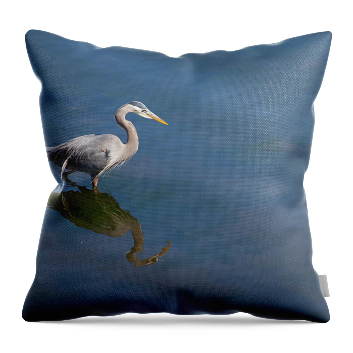 Tranquility Throw Pillow featuring the photograph Great Blue Heron Foraging In The Water by Geostock