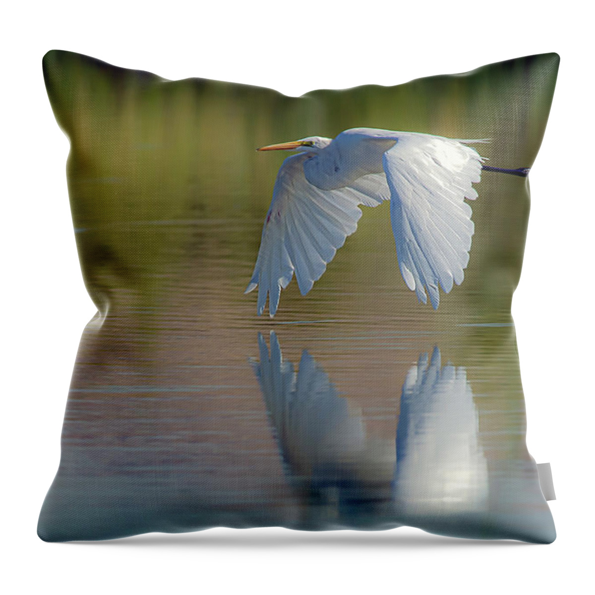 Great Egret Throw Pillow featuring the photograph Great Egret 4 by Rick Mosher