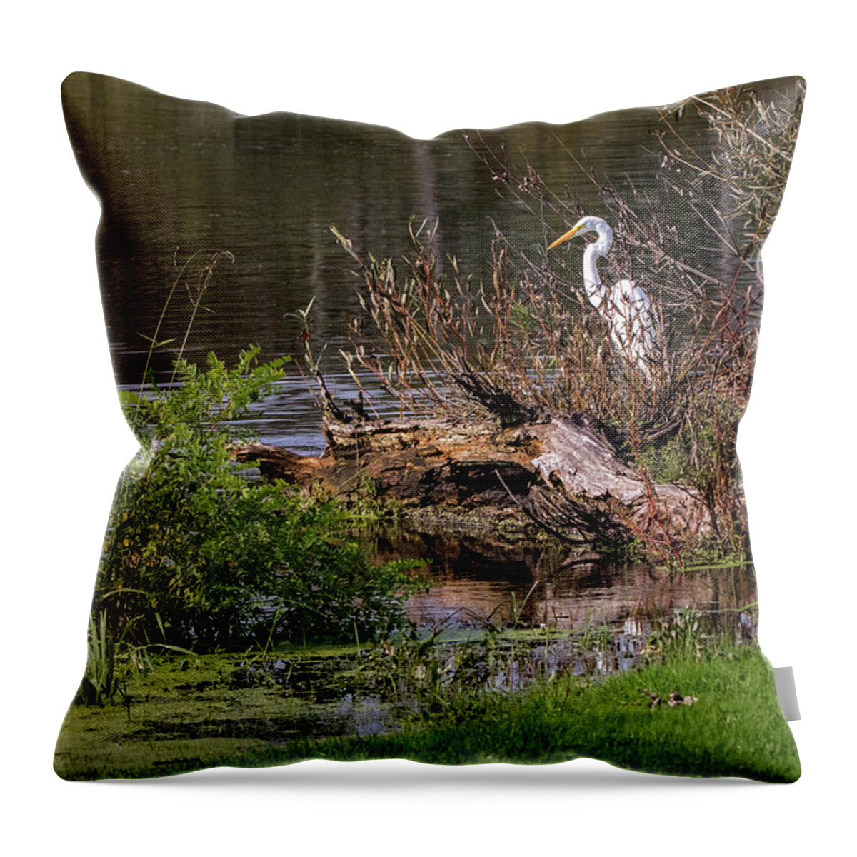 Bird Throw Pillow featuring the photograph Great Egret at River's Edge by Ira Marcus