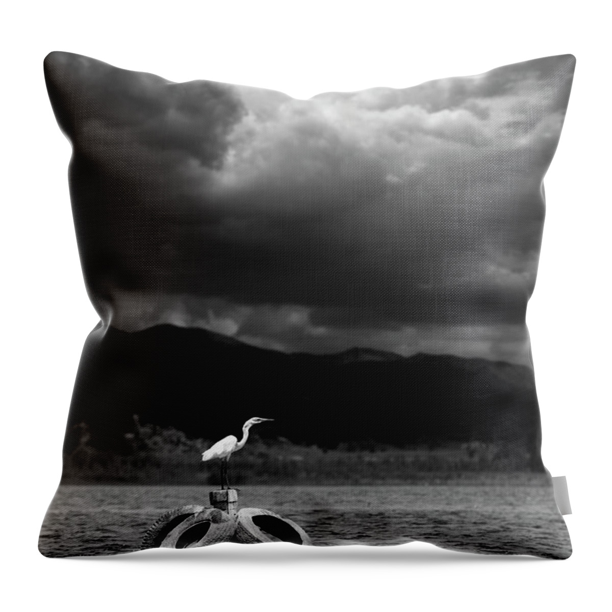 San Diego Throw Pillow featuring the photograph Great Egret on a Post by William Dunigan