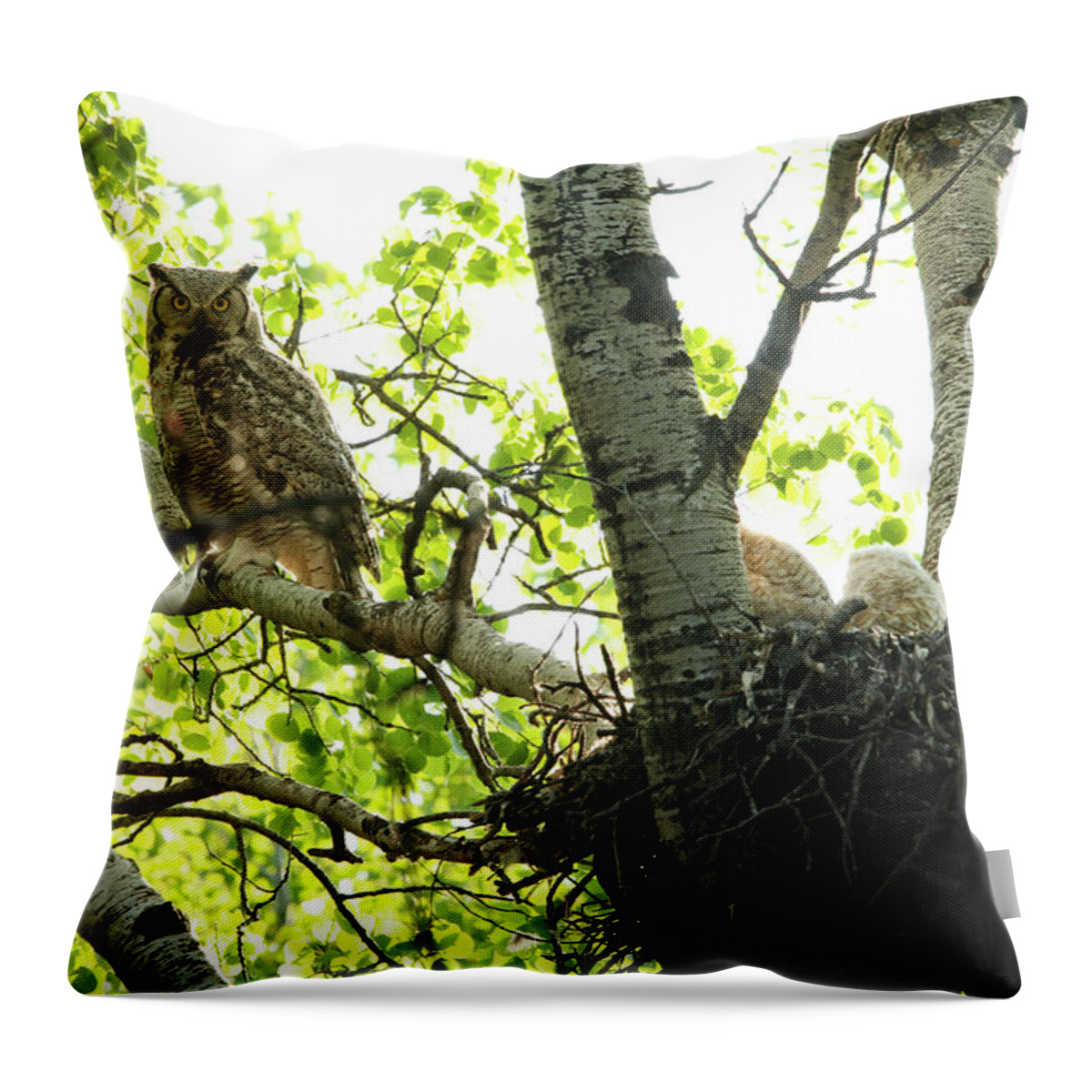 Owl Throw Pillow featuring the photograph Great Horned Owl and Babies by Ryan Crouse
