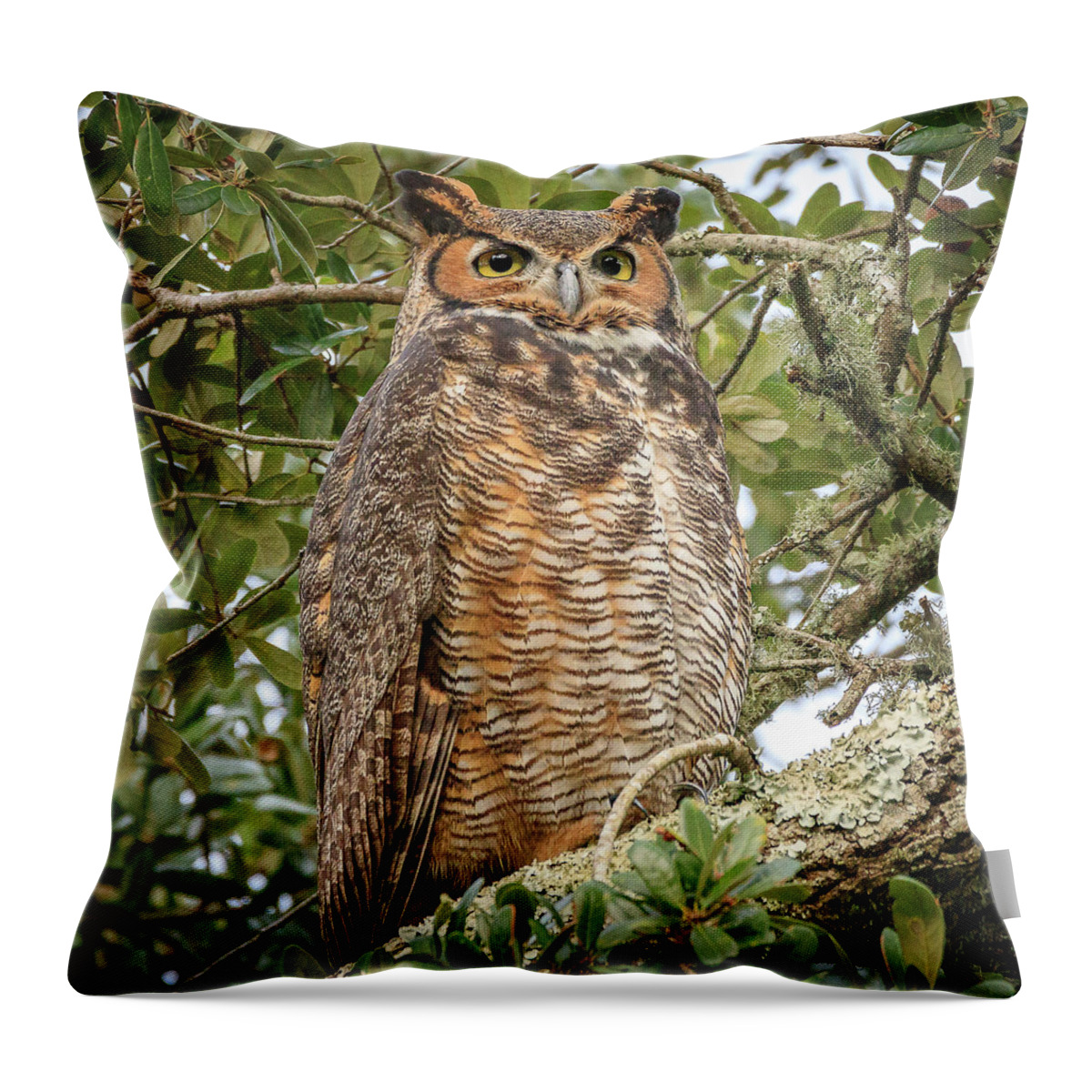 Greathornedowl Throw Pillow featuring the photograph Great Horned Owl by JASawyer Imaging