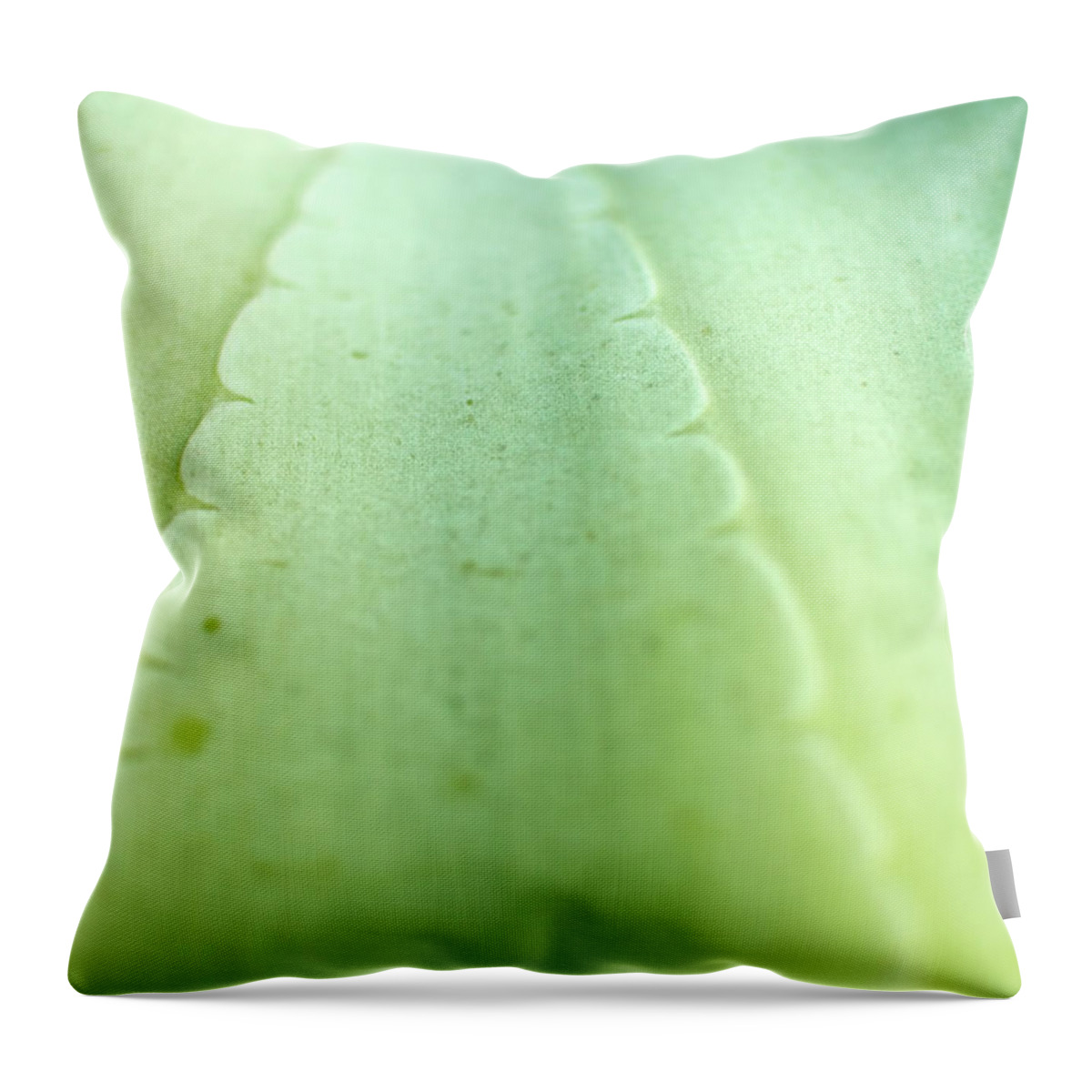 California Throw Pillow featuring the photograph Green Aloe Vera Cactus Close Up by Peter Starman