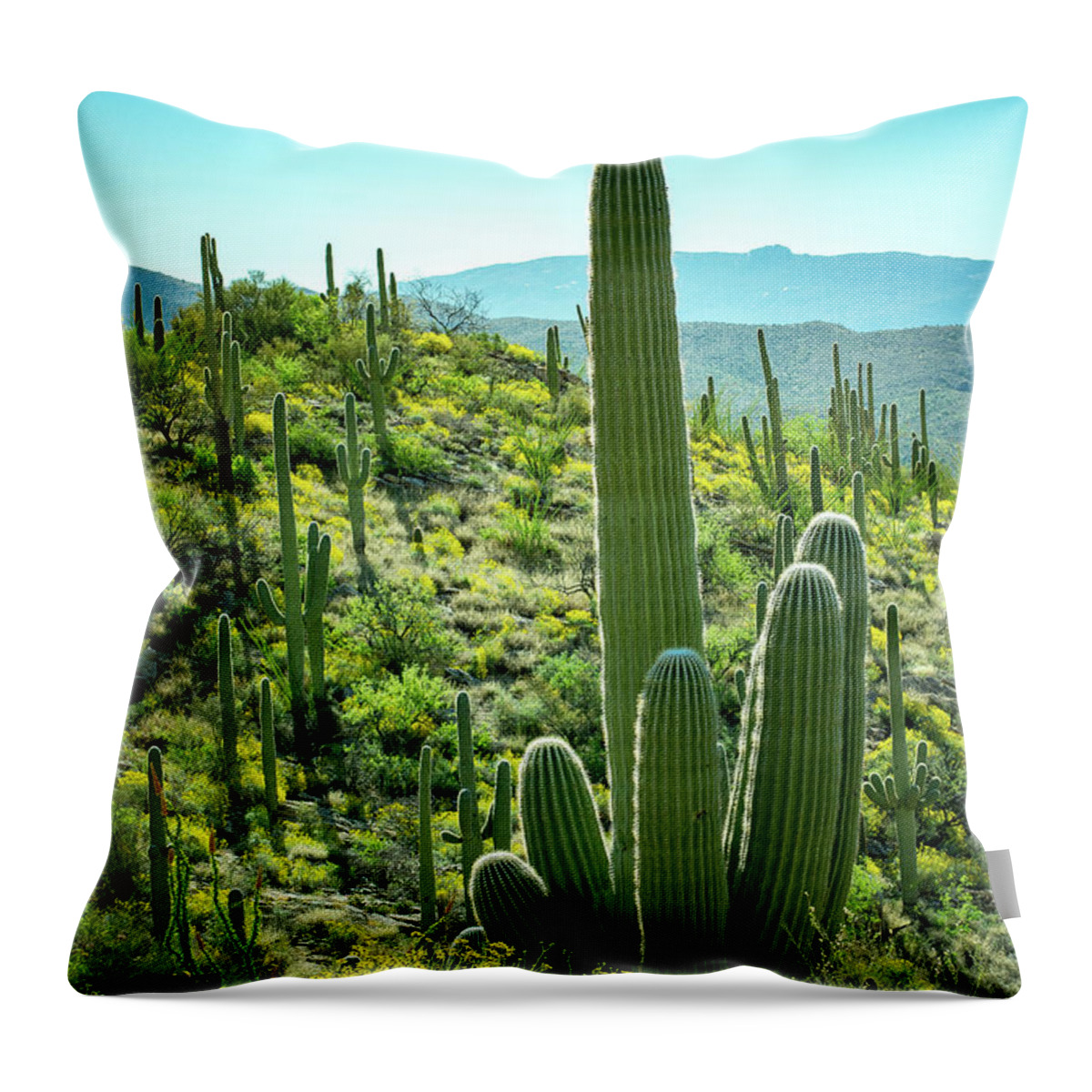 Green Throw Pillow featuring the photograph Green and Yellow by Melisa Elliott