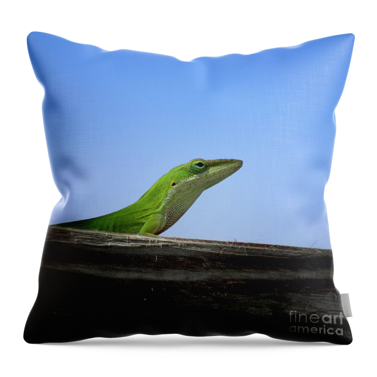 Green Anole Lizard Throw Pillow featuring the photograph Green Anole Lizard Square by Karen Adams