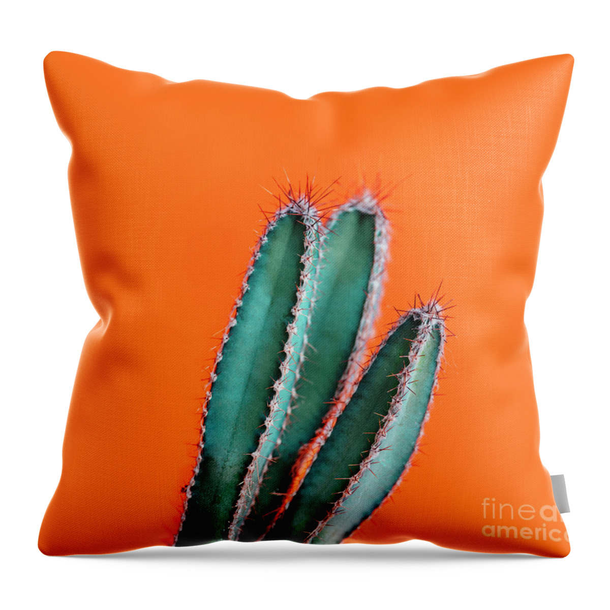 Cactus Throw Pillow featuring the photograph Green cactus closeup over bright orange pastel background. Color by Jelena Jovanovic
