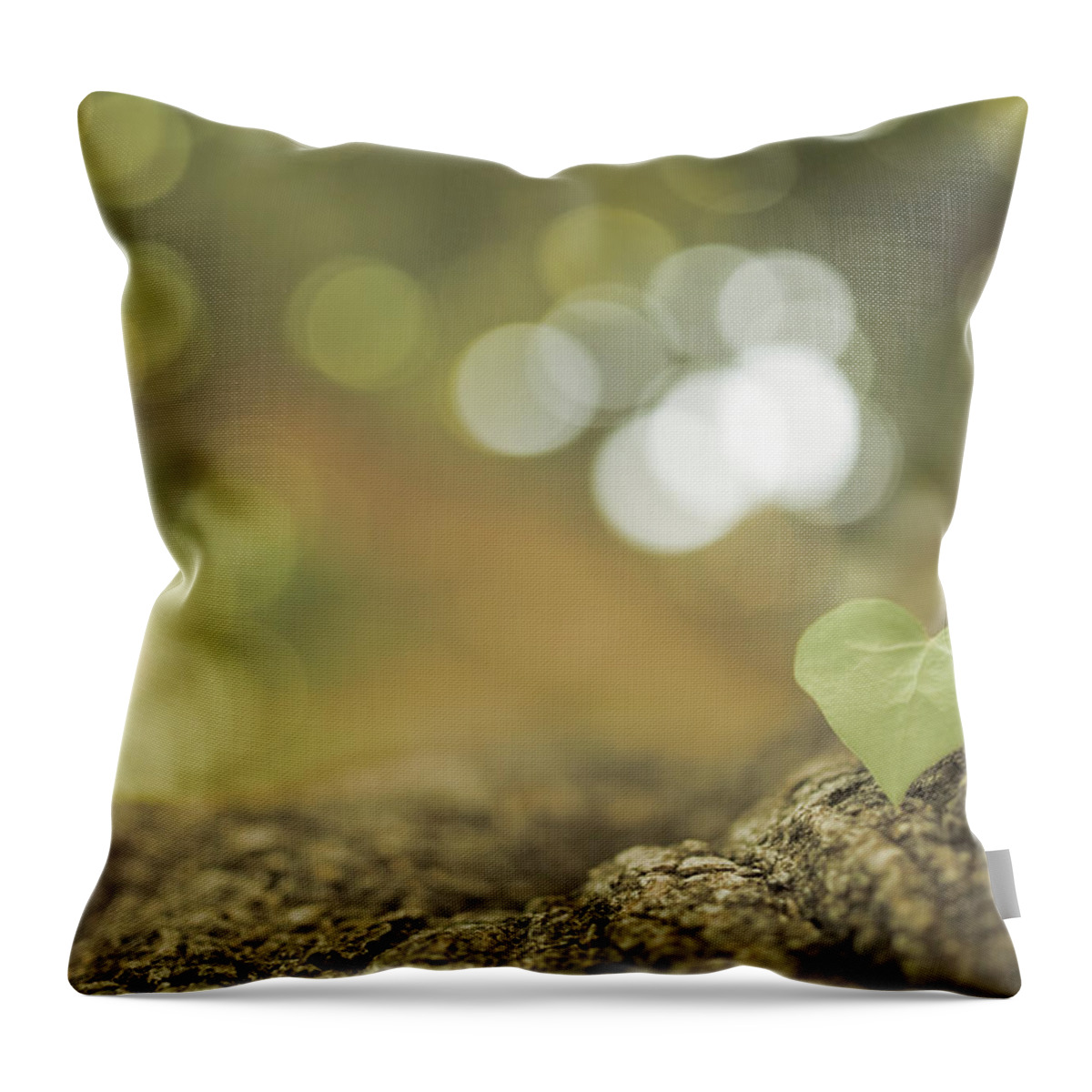 Outdoors Throw Pillow featuring the photograph Green Clover Upon Bark Of Tree by G.g.bruno