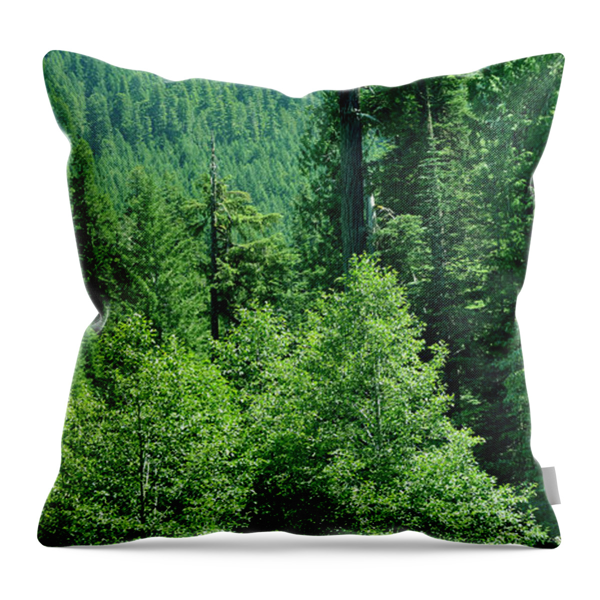 Helens Throw Pillow featuring the photograph Green conifer forest on steep hillside by Steve Estvanik