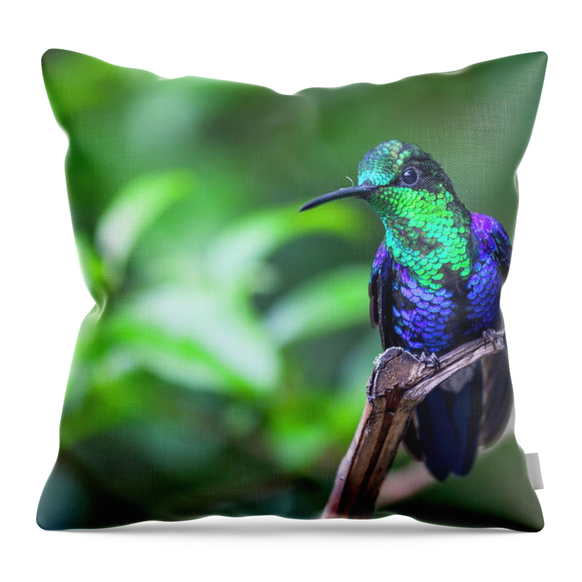 Estock Throw Pillow featuring the digital art Green-crowned Woodnymph Bird by Timo Bierbaum