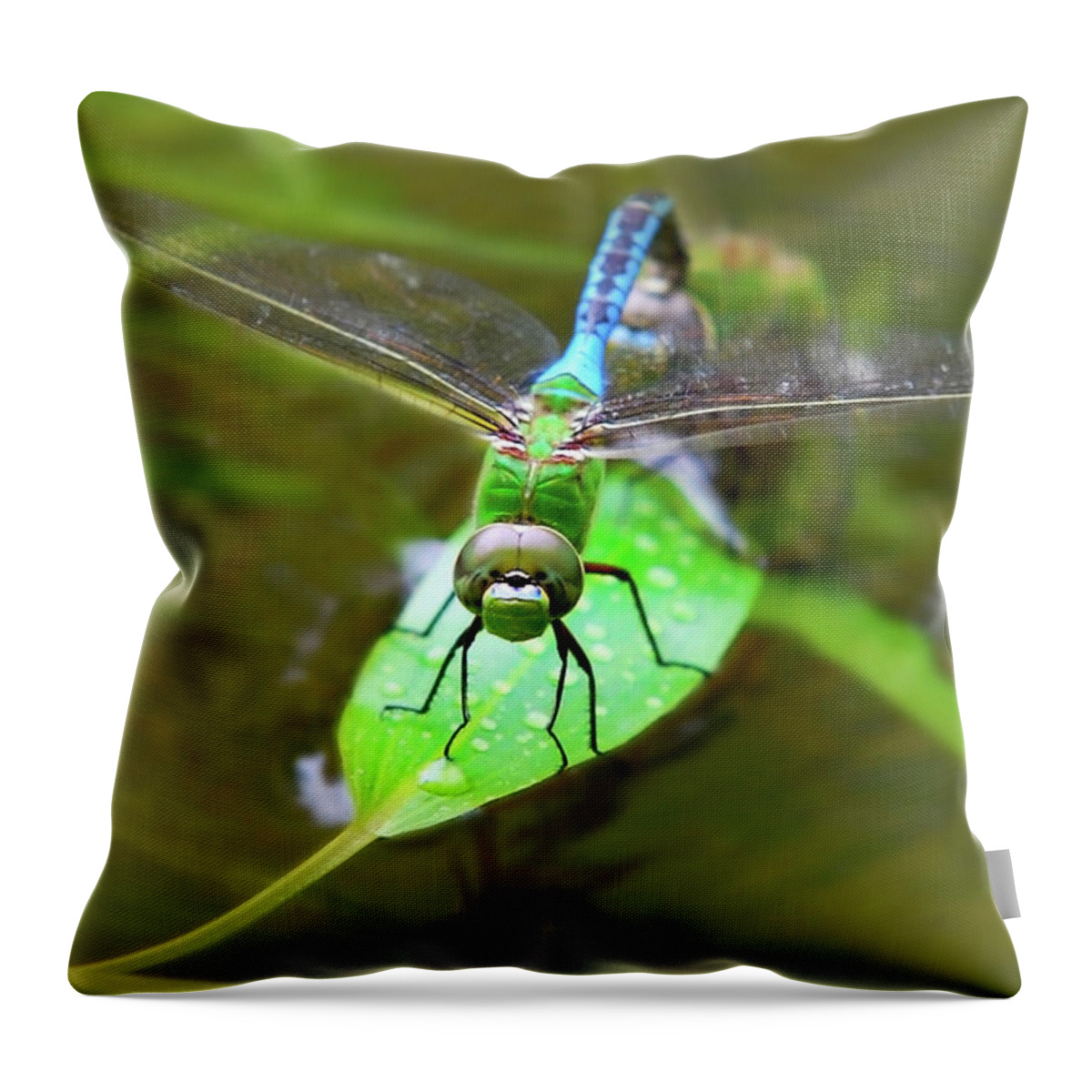 Dragonfly Throw Pillow featuring the photograph Green Darner Dragonfly by Christina Rollo