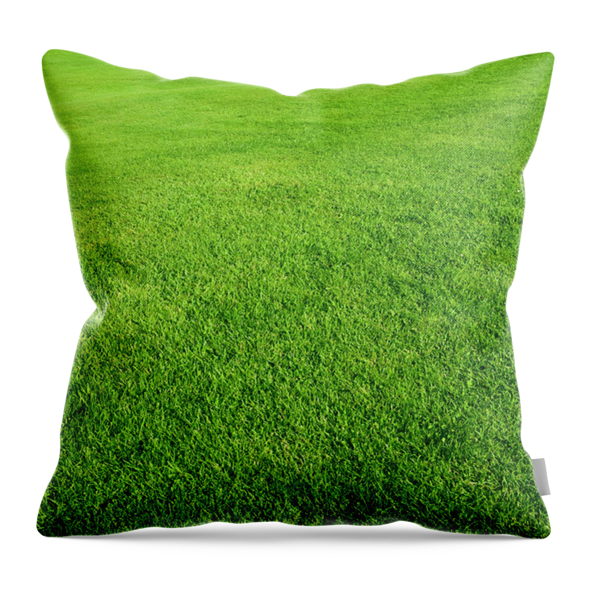 Scenics Throw Pillow featuring the photograph Green Grass Field by Rouzes