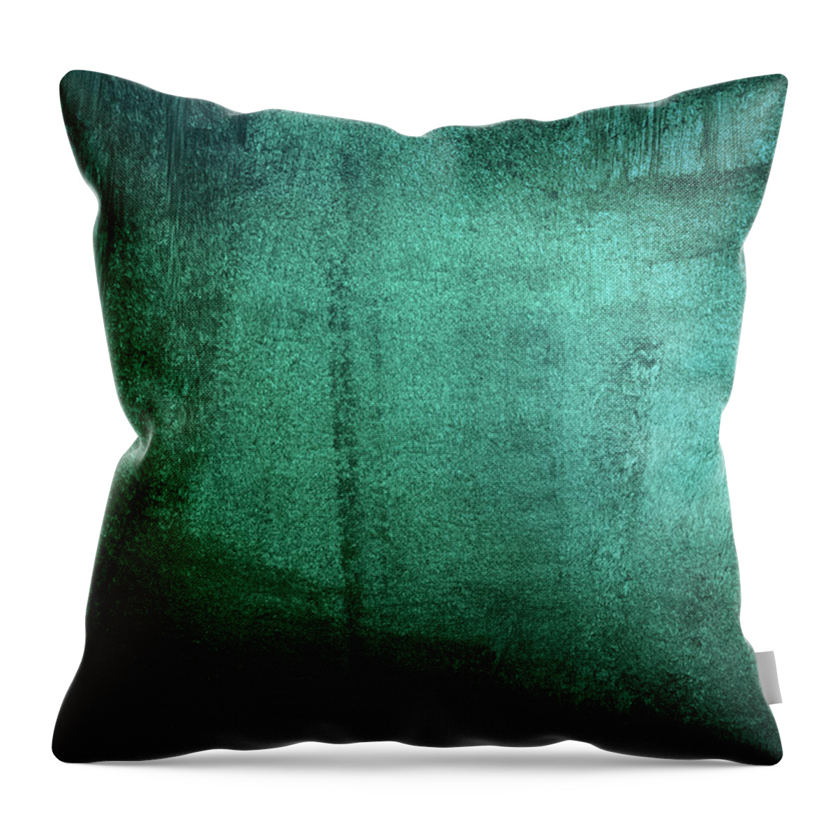 Cool Attitude Throw Pillow featuring the photograph Green Grunge Background by Caracterdesign